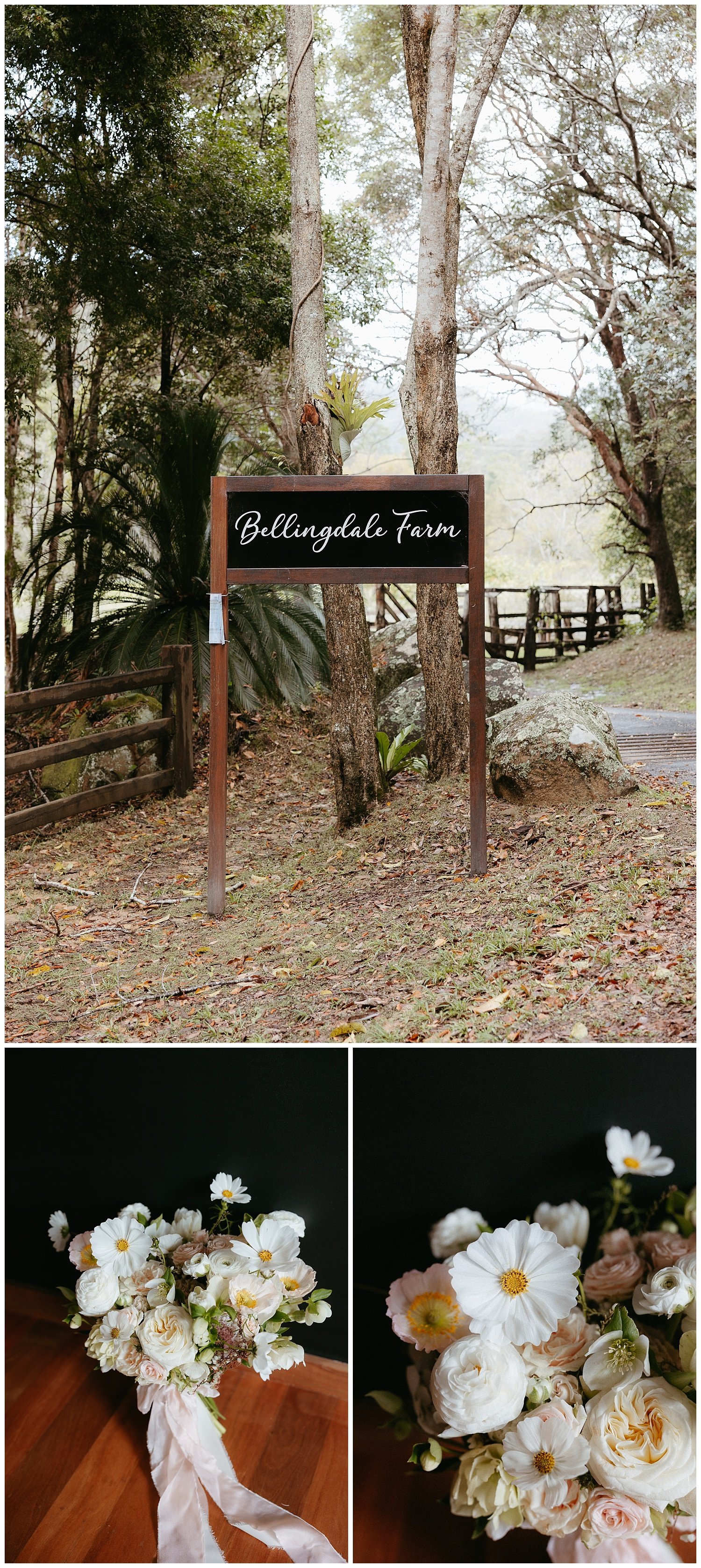 Gold Coast wedding photographer photographs Bellingdale Farm wedding.