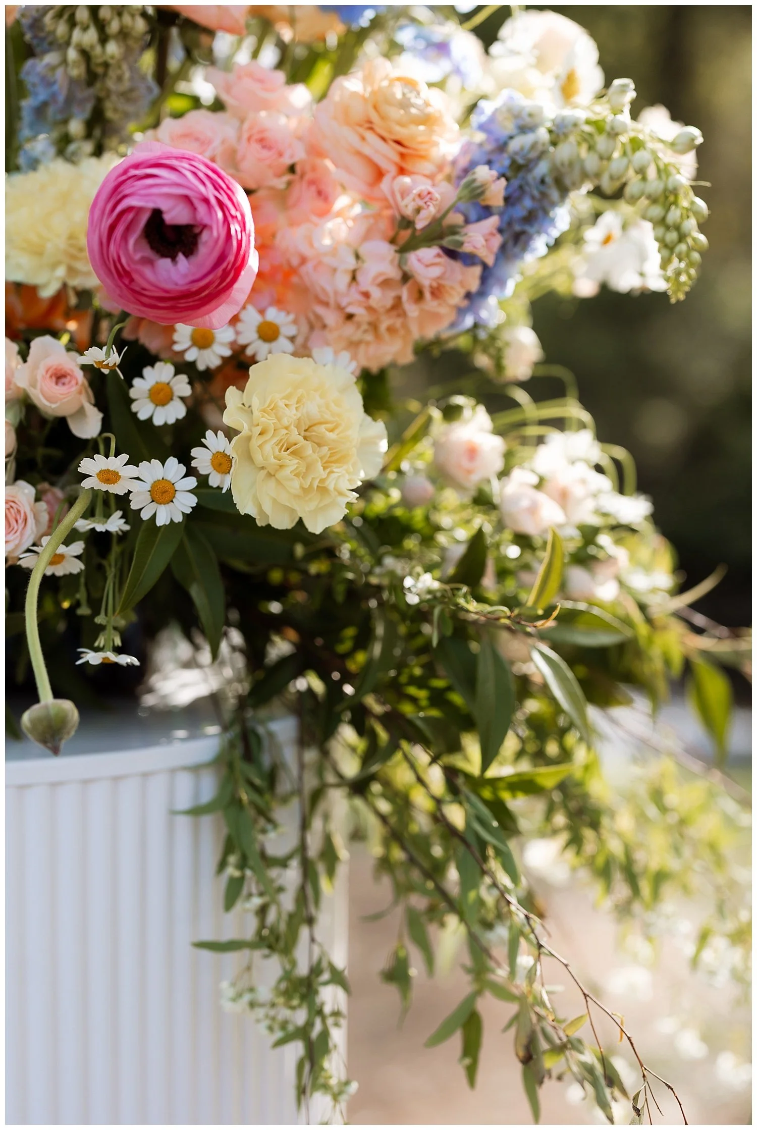 O'Reilly's Canungra Valley Vineyards wedding captured by Scenic Rim and Gold Coast wedding photographer