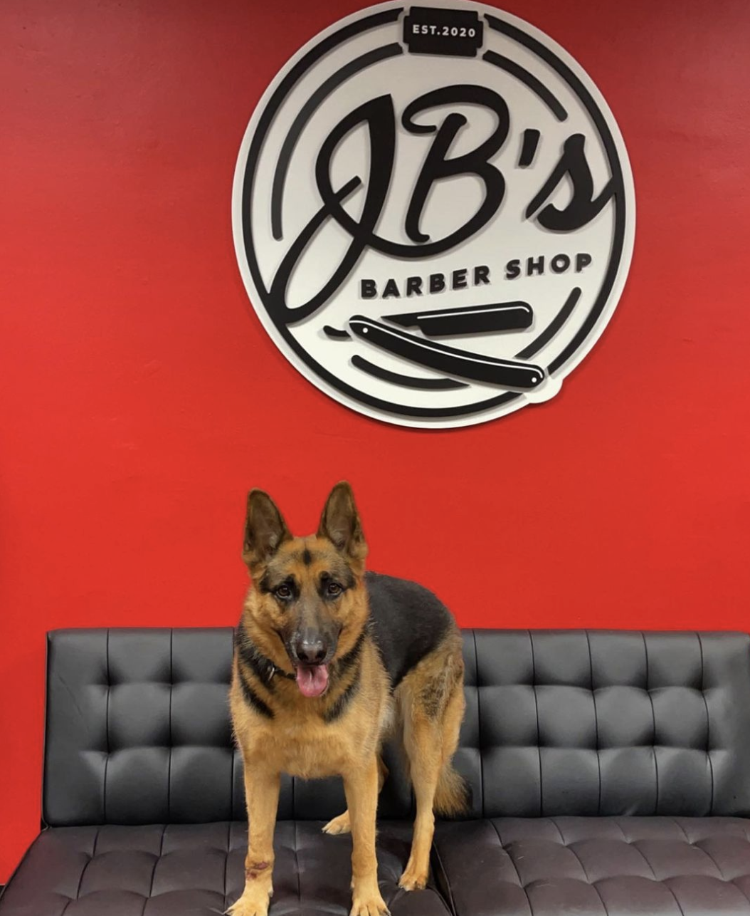 Screen Shot 2023-05-19 at 11.16.37 AM.png