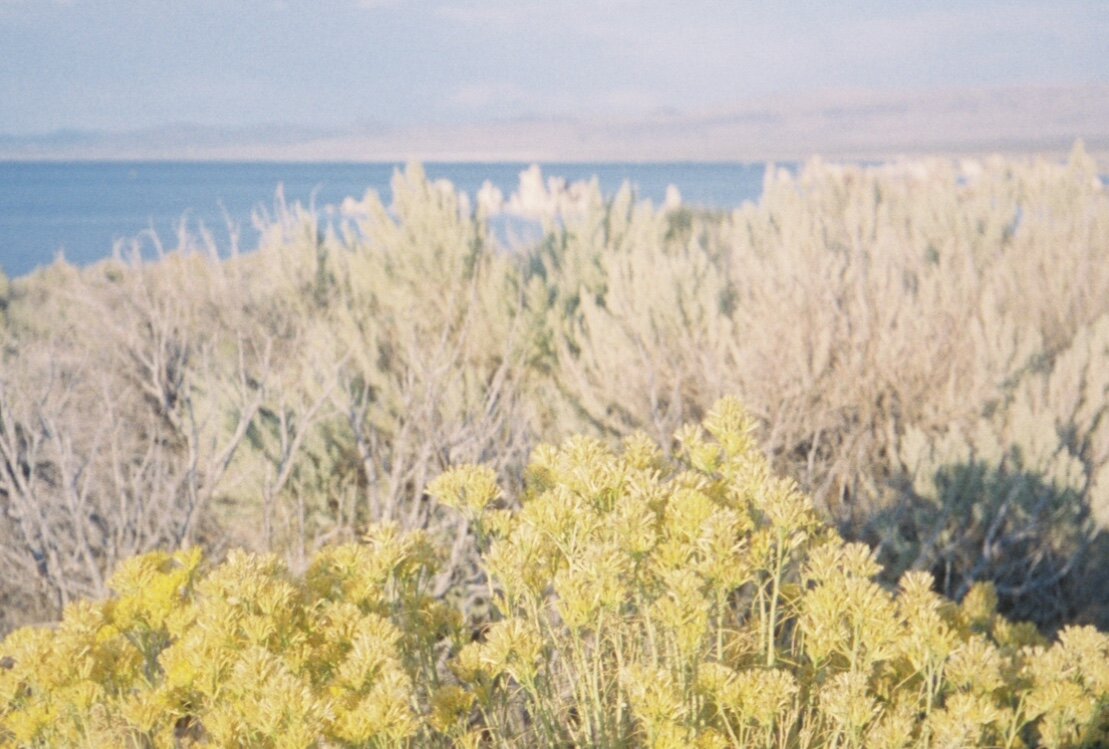  Mono Lake 