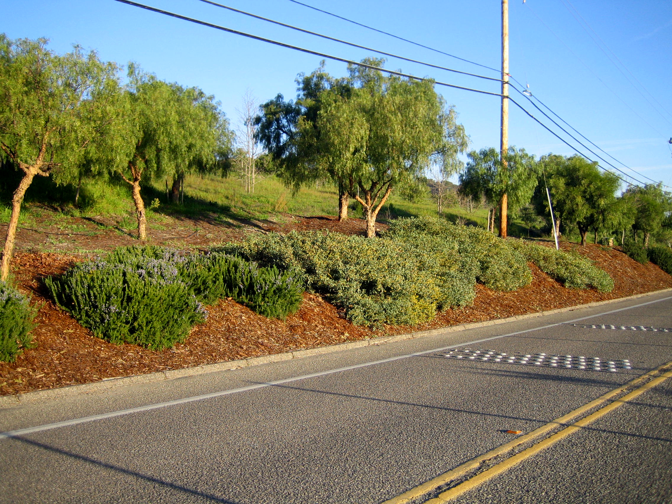 PACIFIC LANDSCAPE SUPPLY