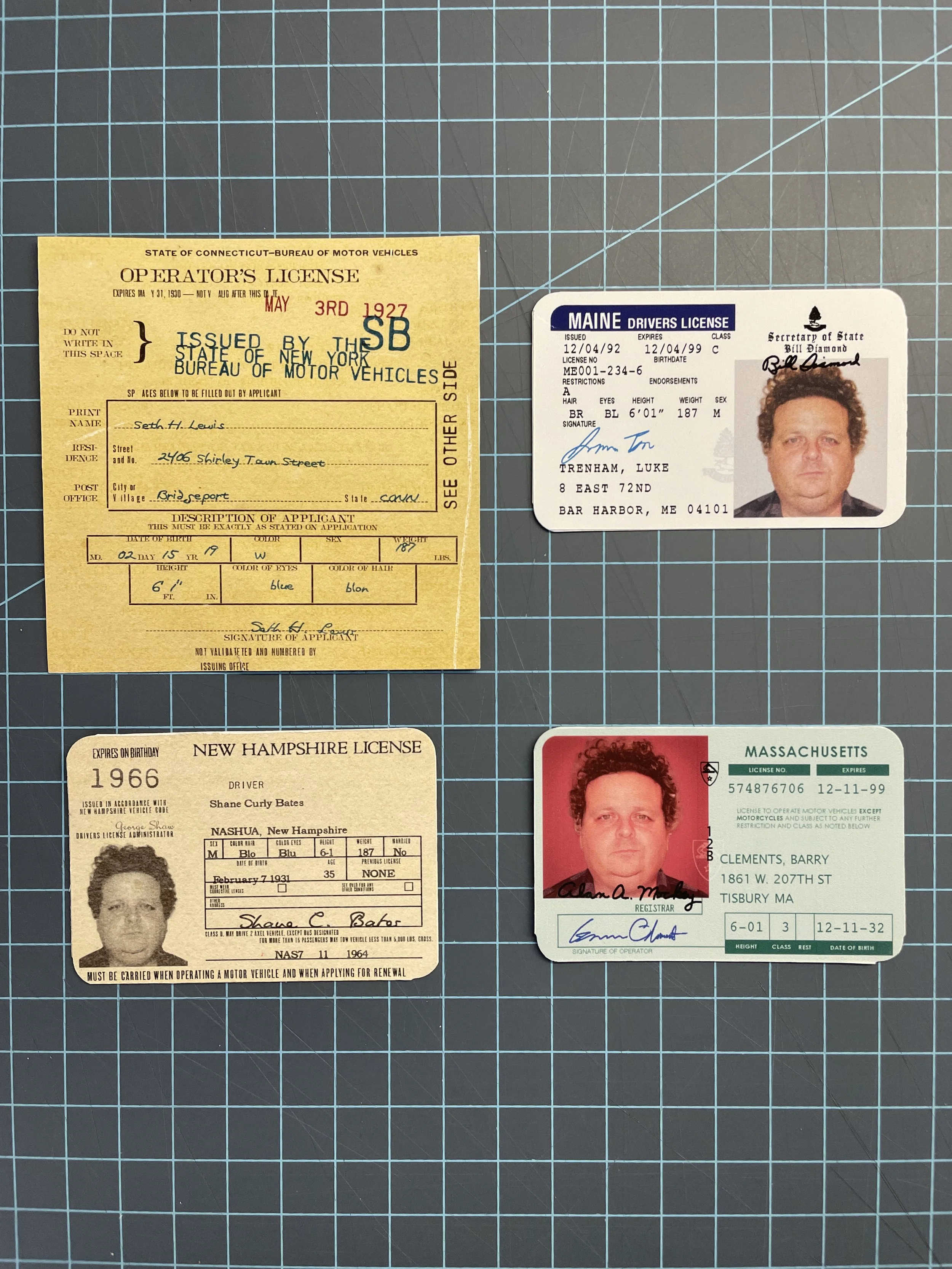 BoysOfSummer-licenses.JPG