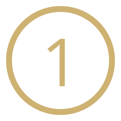 icon number 1 you choose one meaningful goal