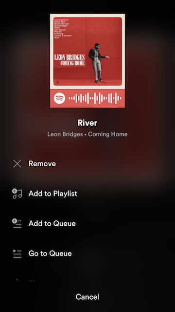 Spotify Codes Big Little Features