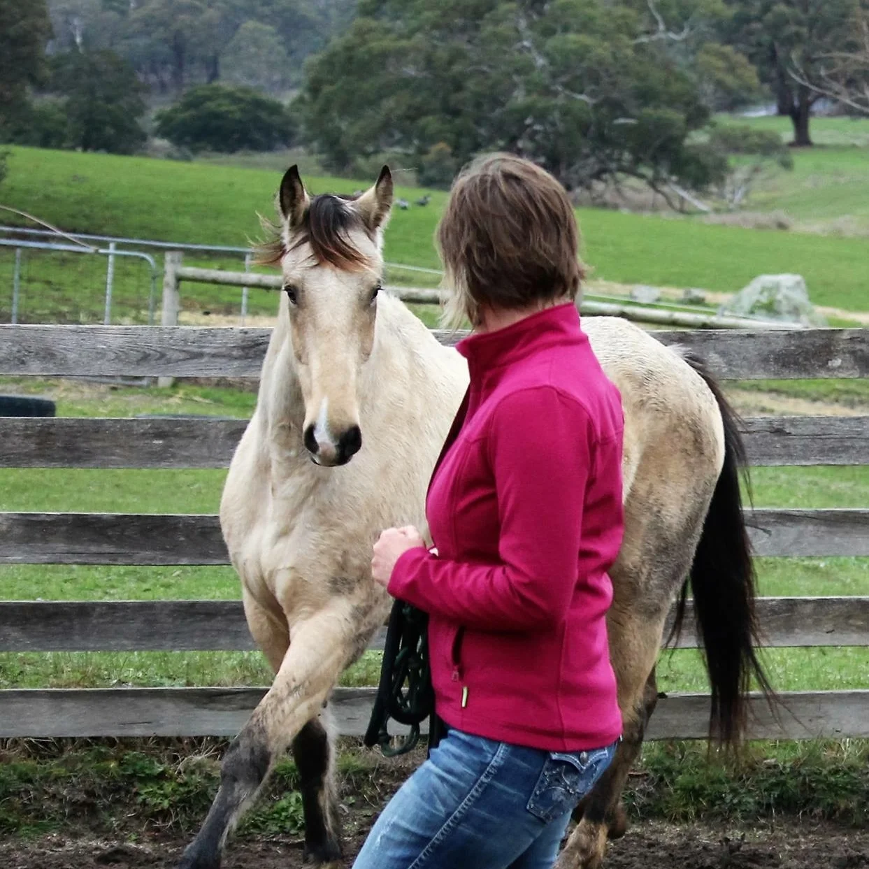 The Power of Language Workshop