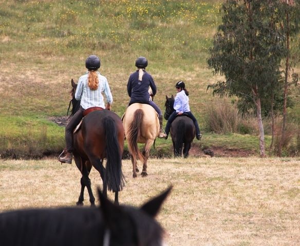 Affinity Equitation-Clinic Deposit