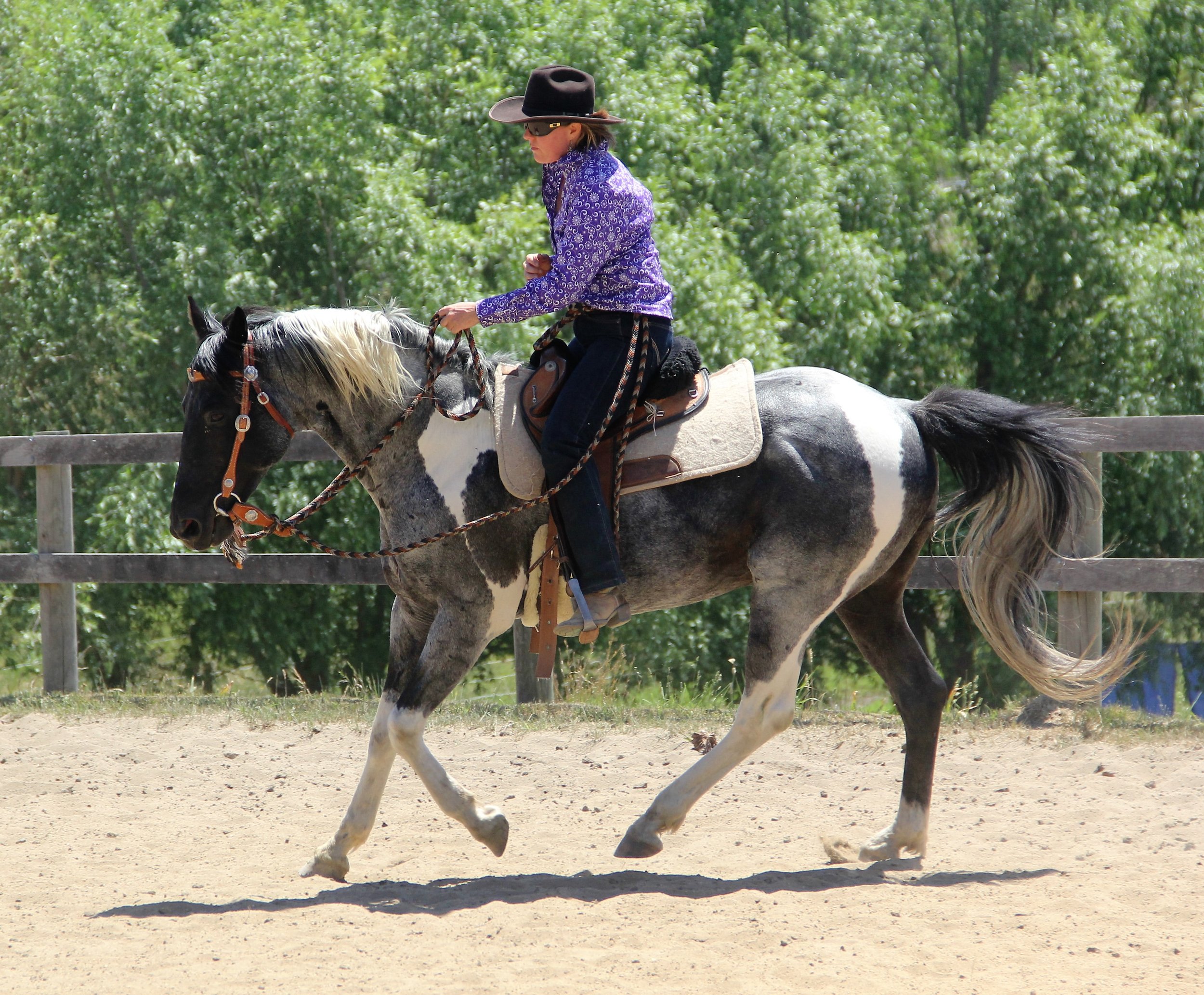 Sam and me canter purple shirt1.jpg