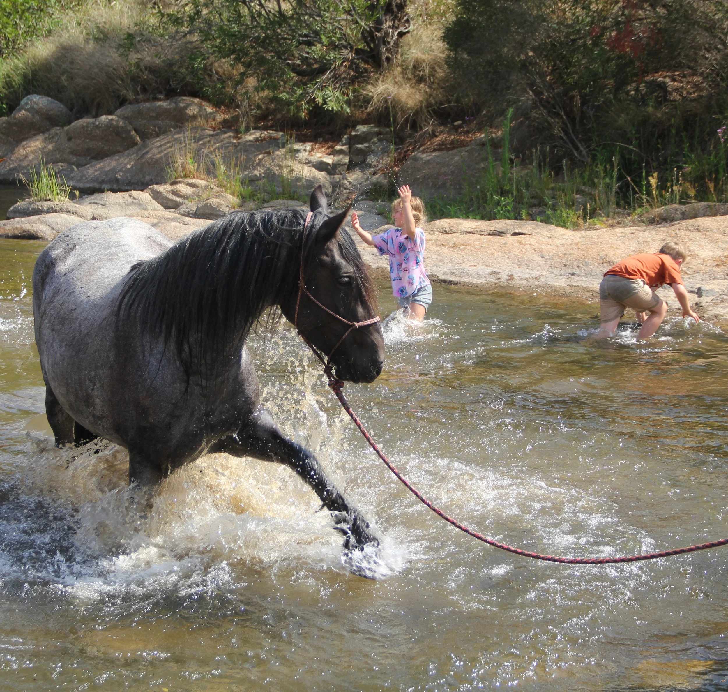 bronte and kids river jan splashing.JPG