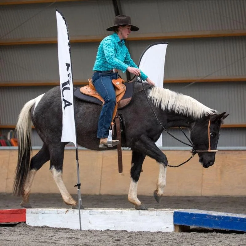 Come Ride With Me Master Class Sessions