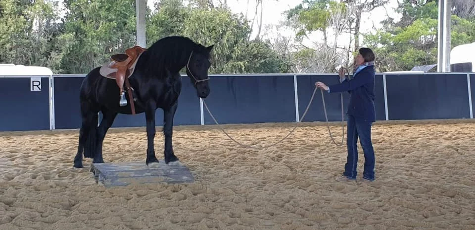 Full Day Obstacle Workshops