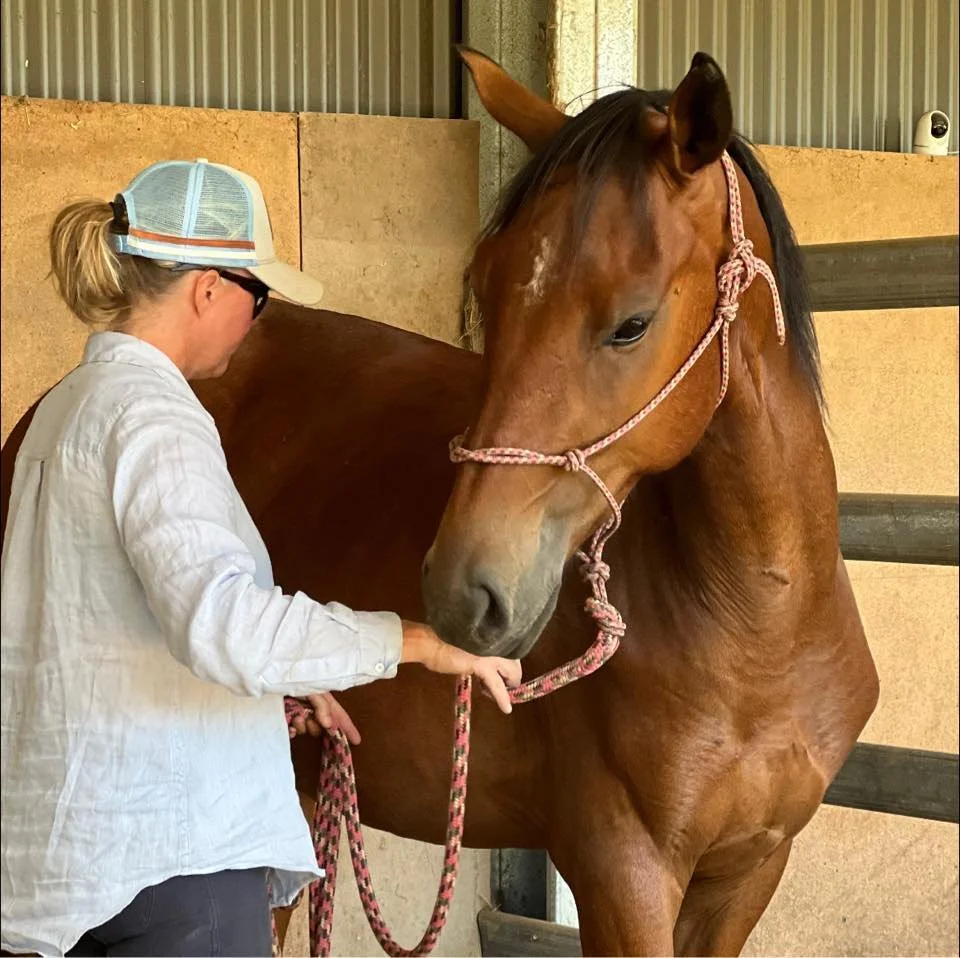 Tam Tee WC website.jpg