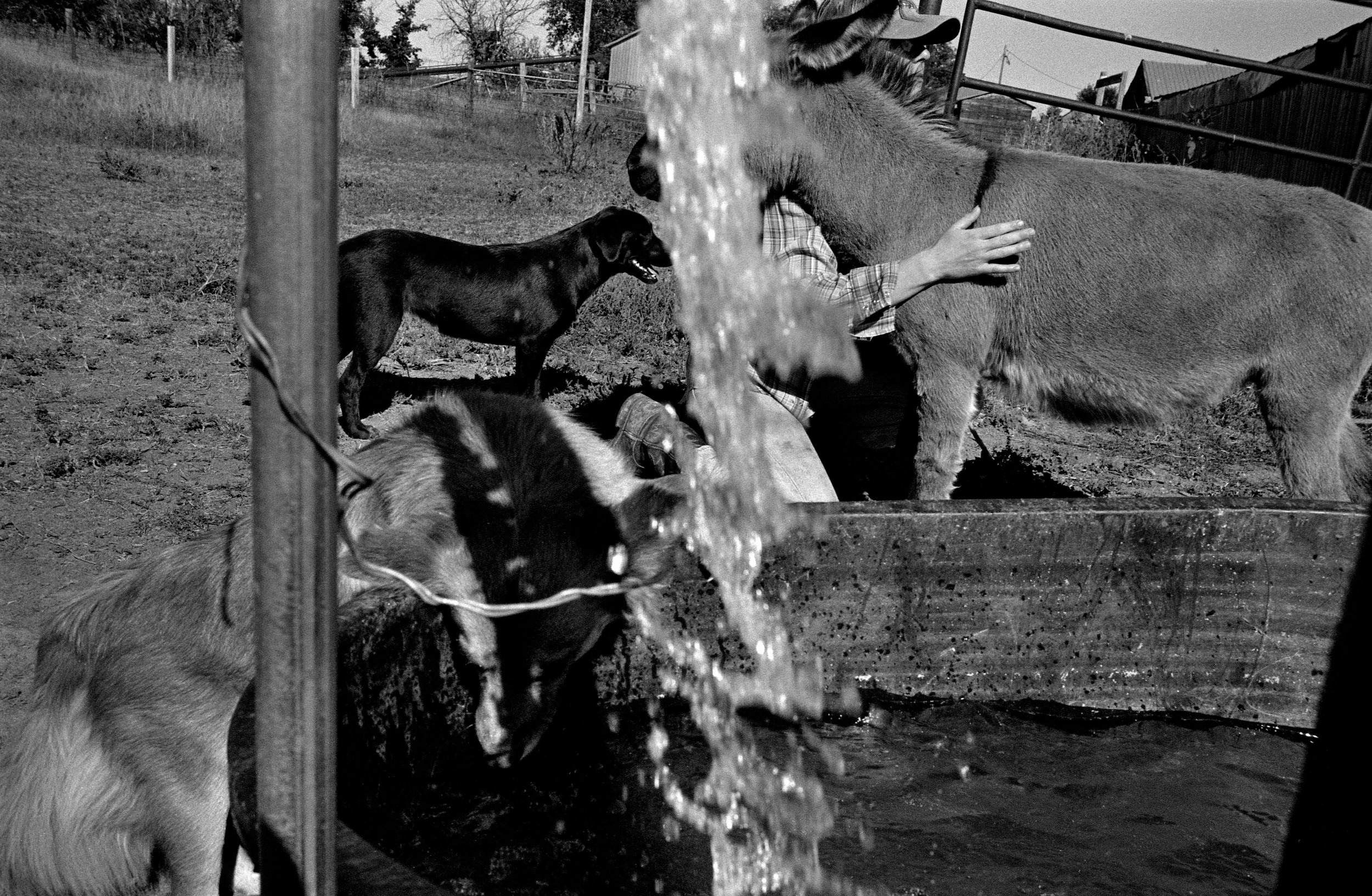 Lost Nation — Danny Wilcox Frazier