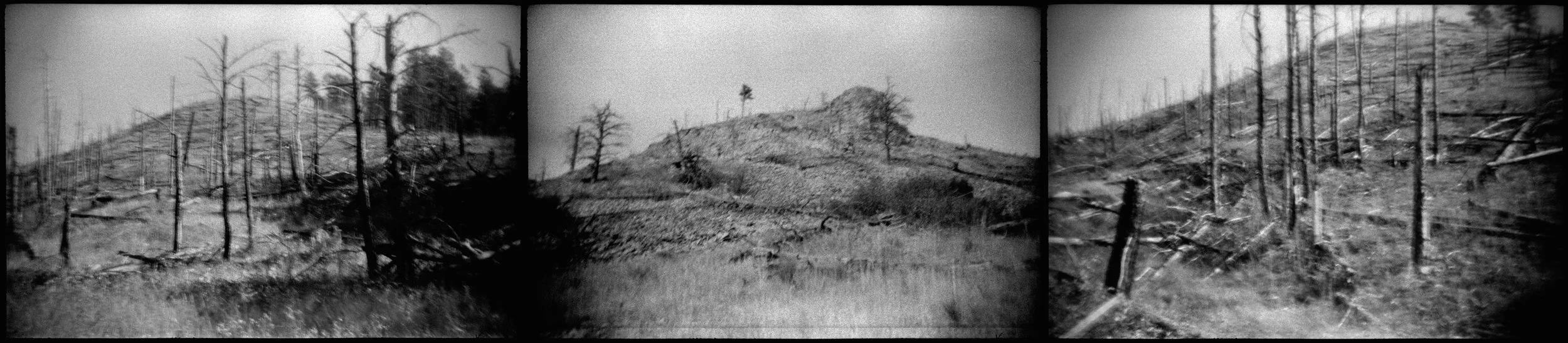 Lost_Nation_0004.JPG