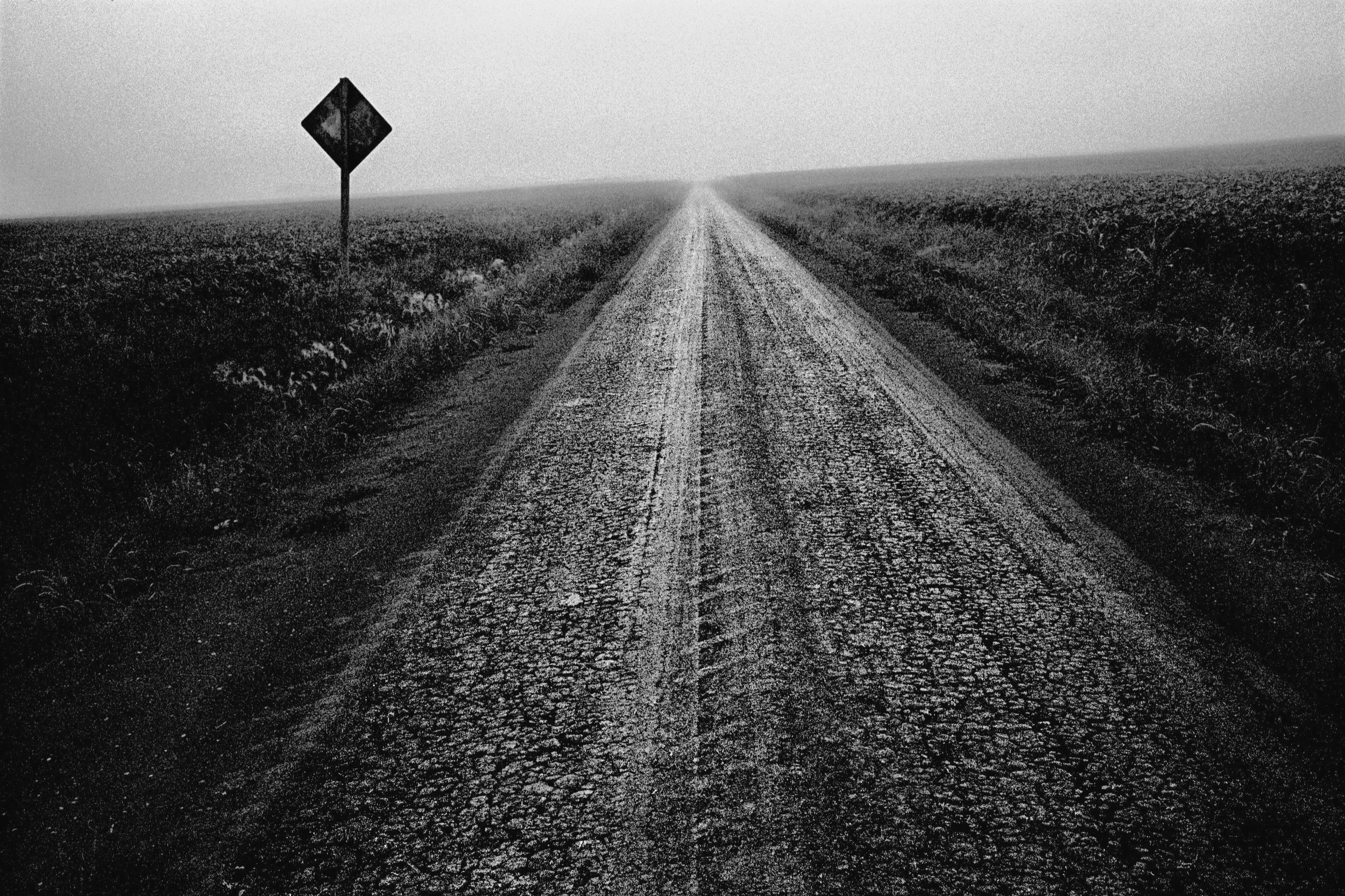 DWF_Driftless_16X20_005.jpg