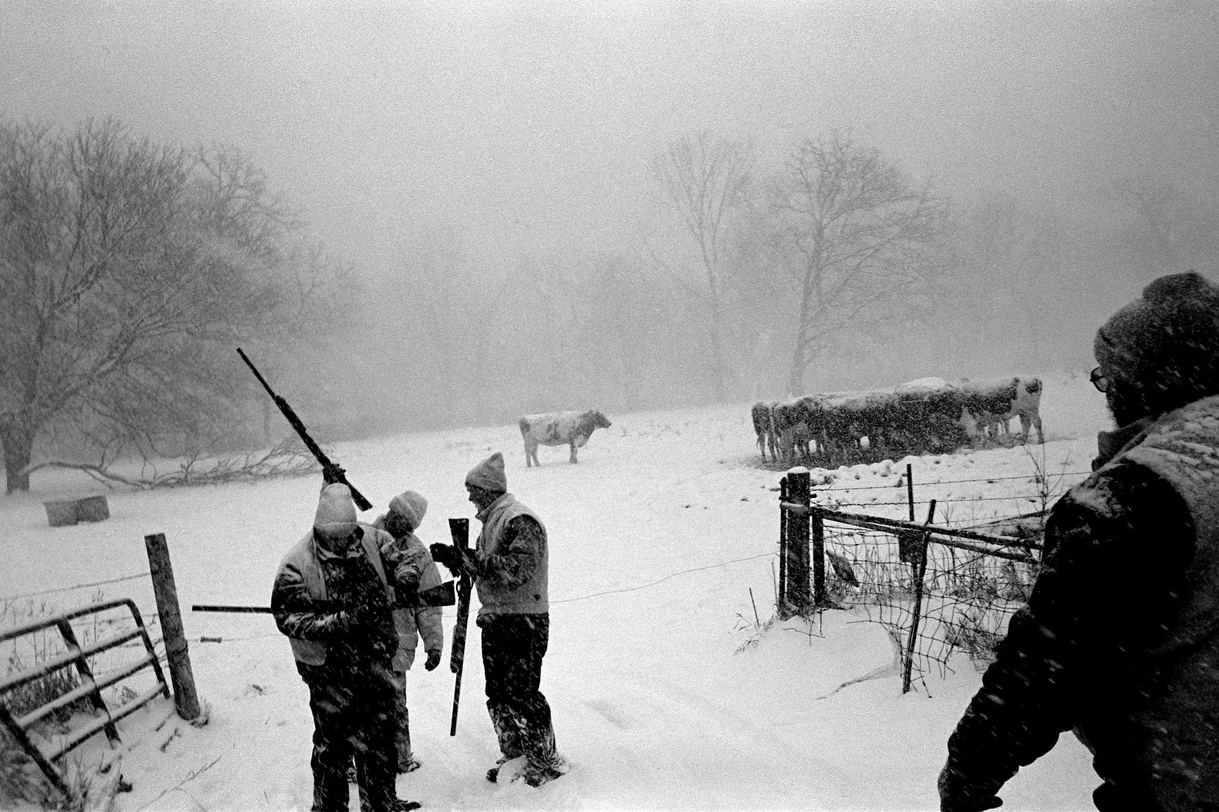 DWF_Driftless_16X20_002.jpg