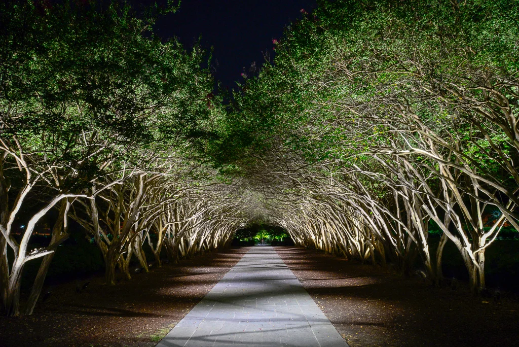 The Dallas Arboretum