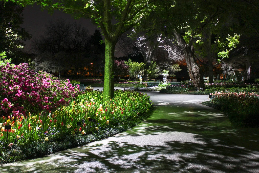 The Dallas Arboretum