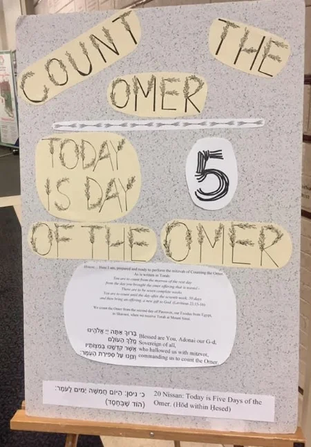 omer1.jpg