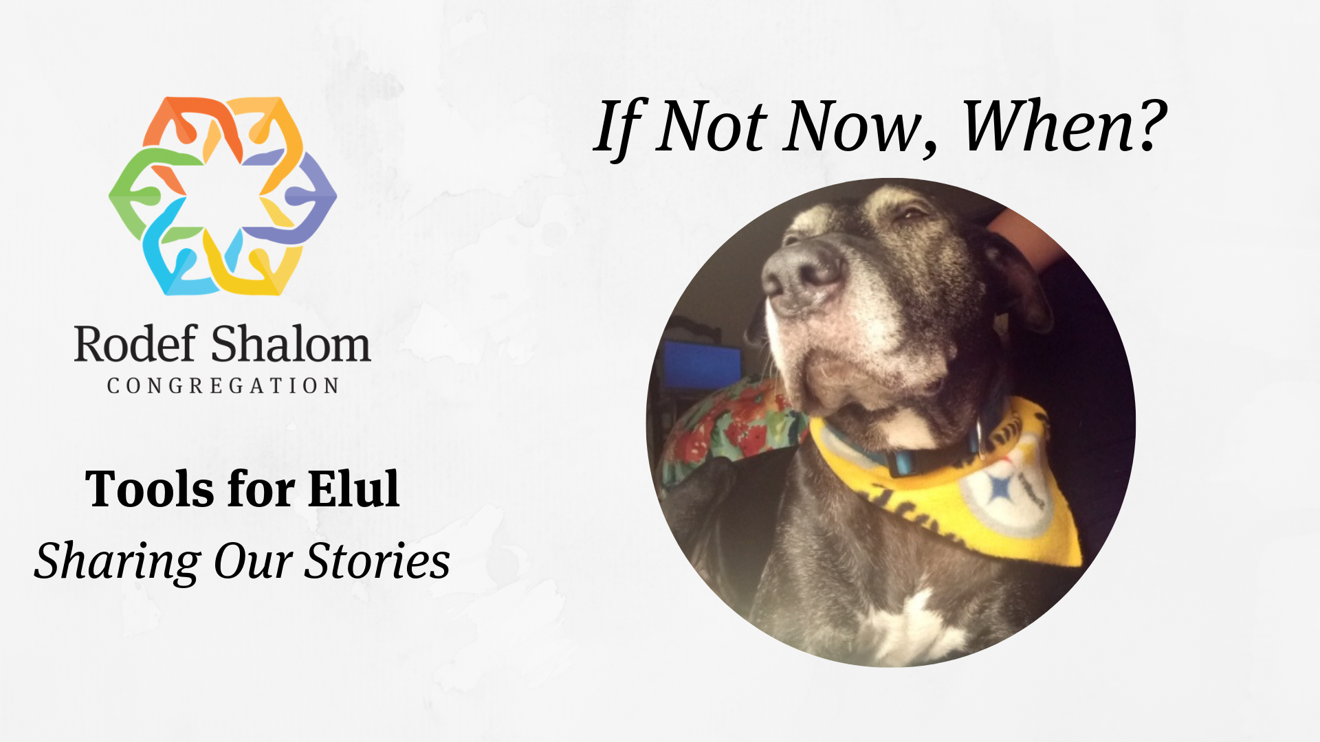 Tools for Elul Headers 8.27.19 (6).png