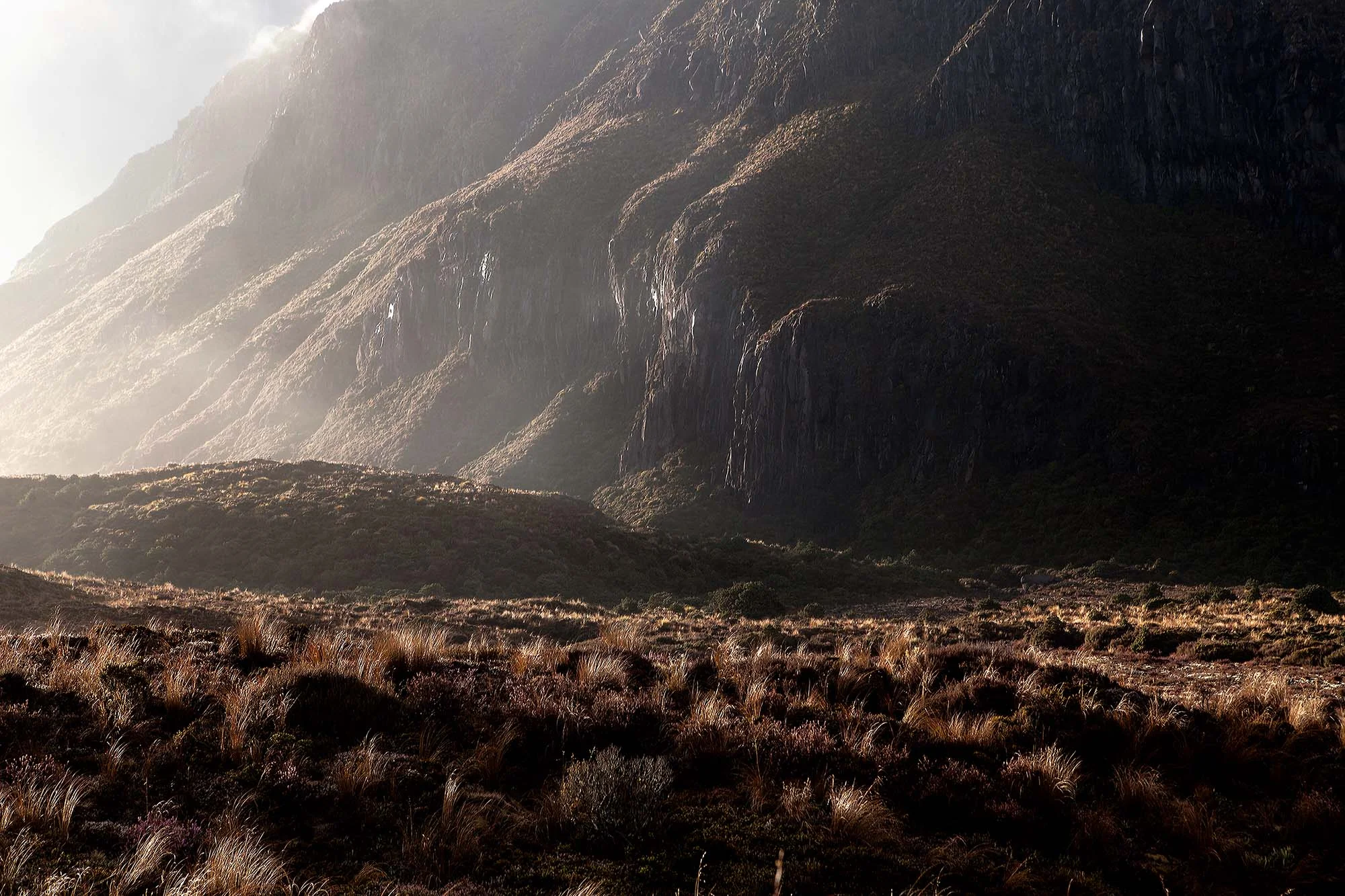 Justine Guerriat_Travels_New Zealand_019.jpg