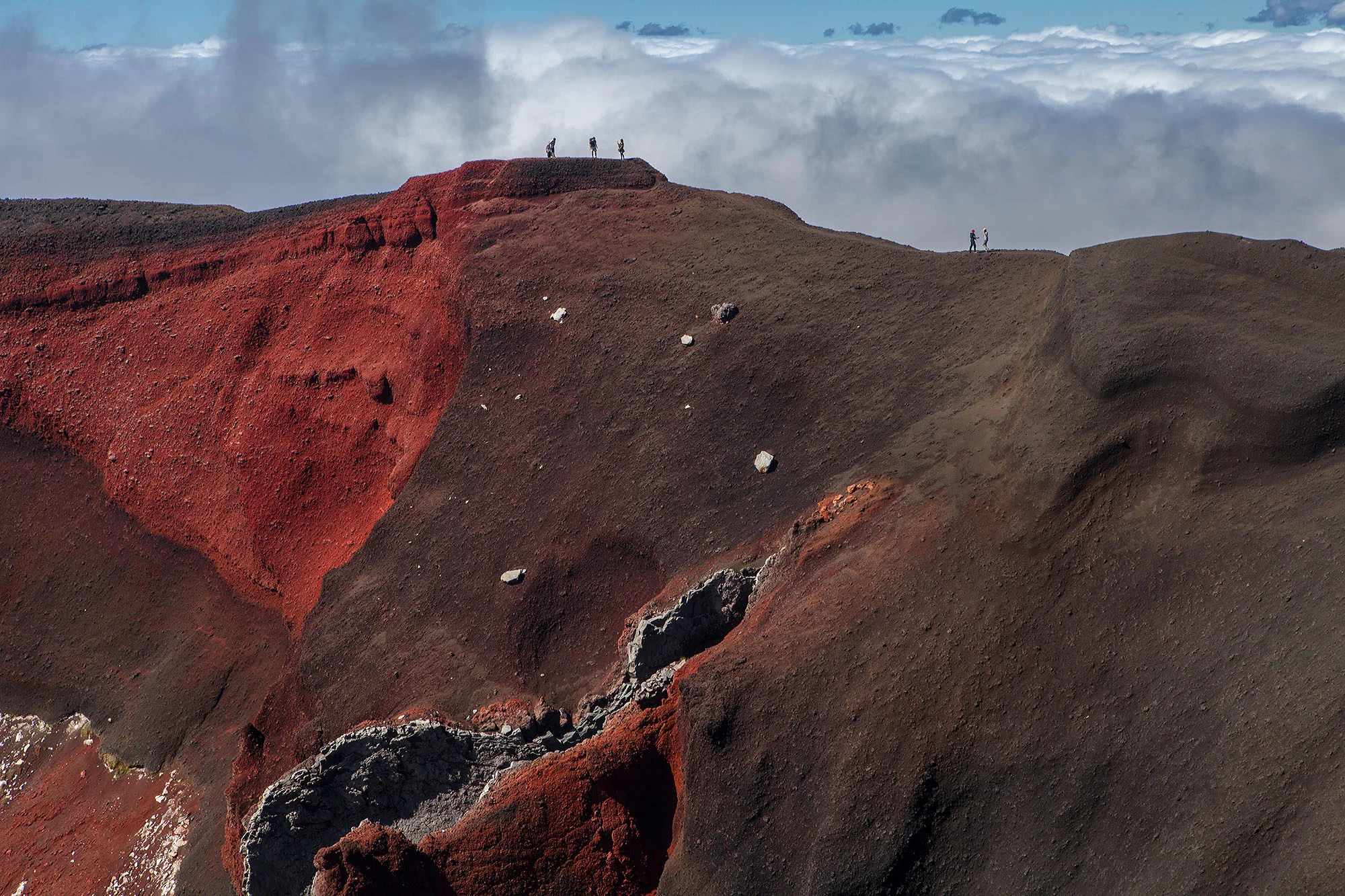Justine Guerriat_Travels_New Zealand_025.jpg
