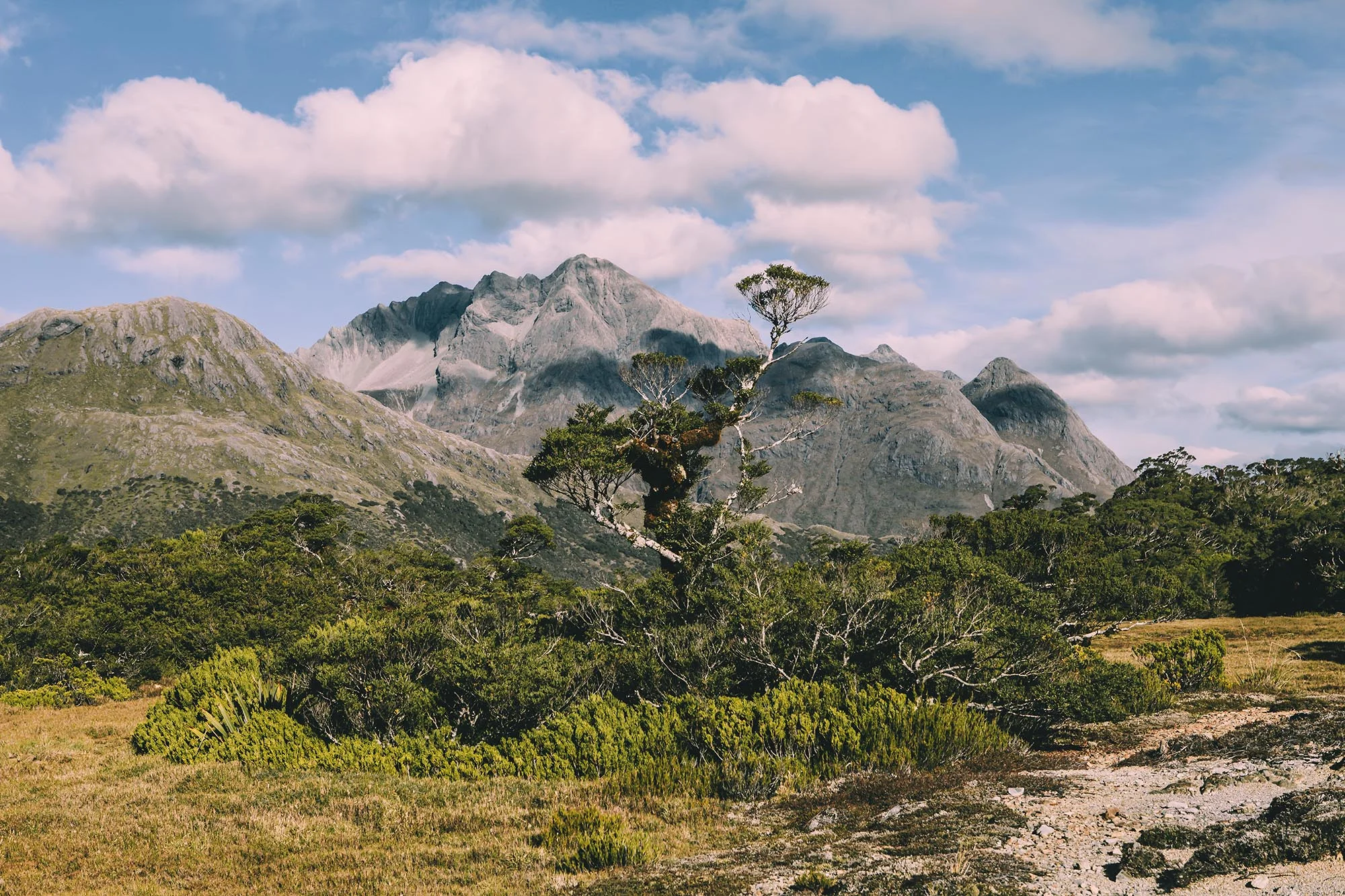 Justine Guerriat_Travels_New Zealand_031.jpg