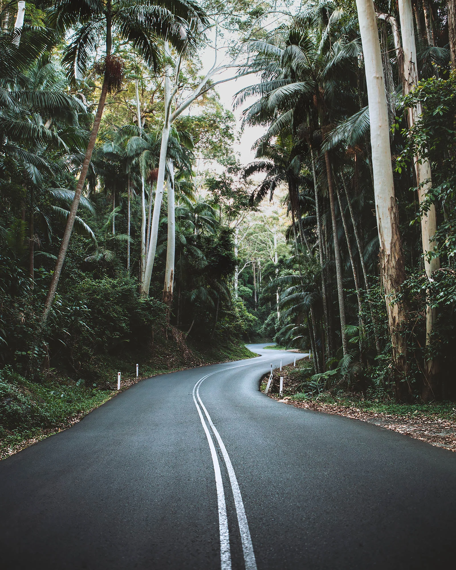 Justine Guerriat_Travels_Australia_020.jpg