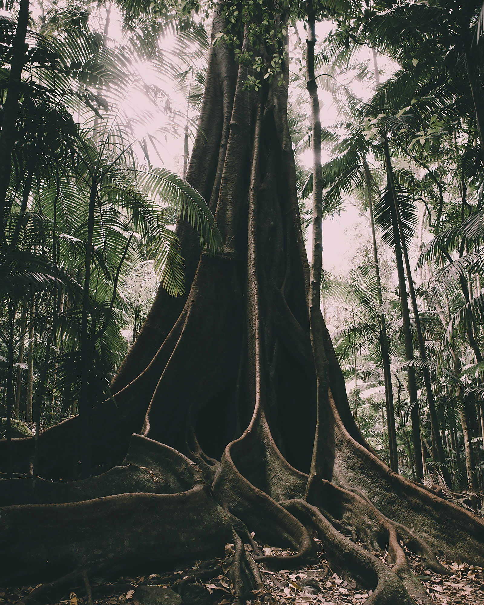Justine Guerriat_Travels_Australia_022.jpg