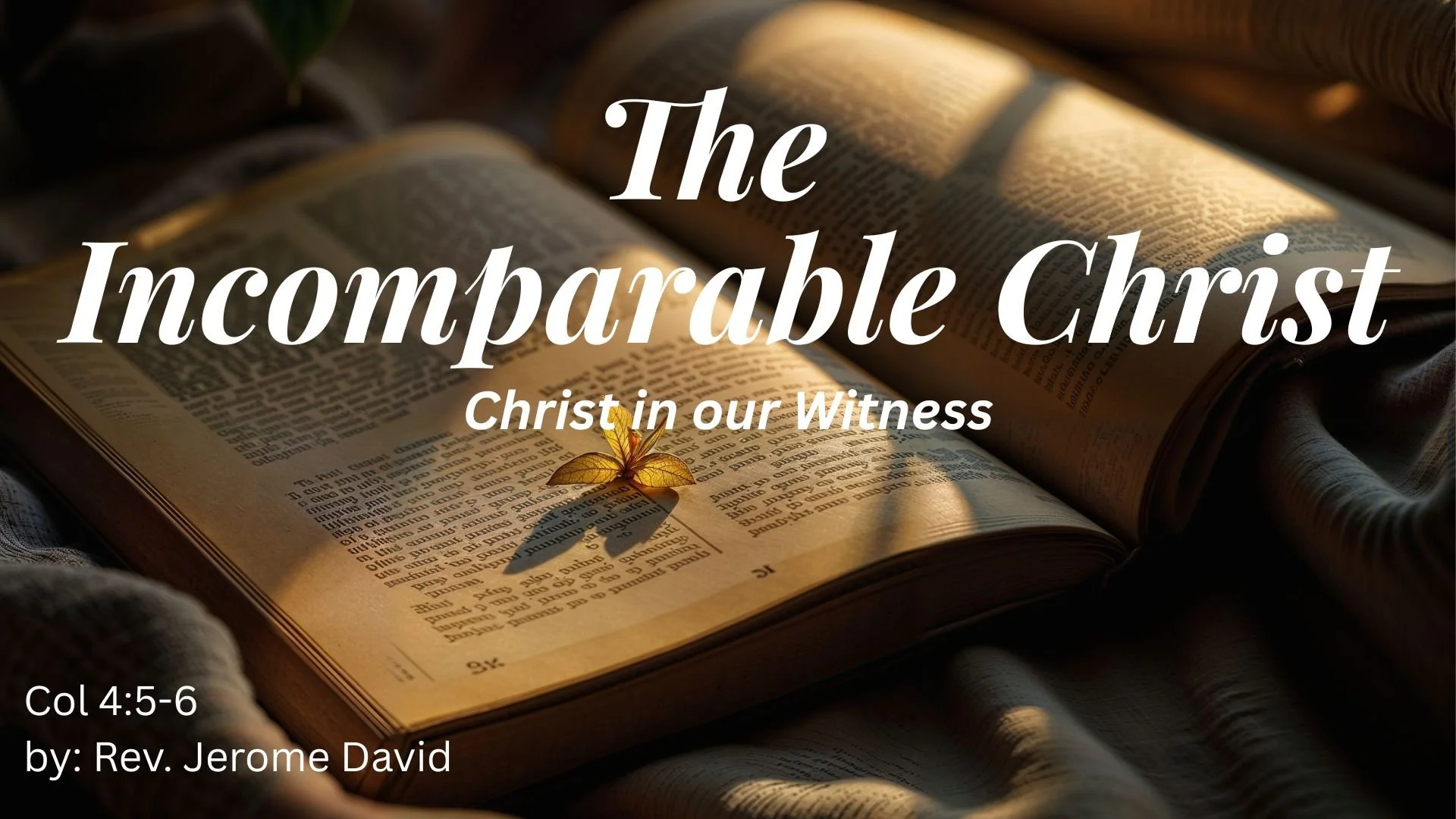 Christ in our Witness