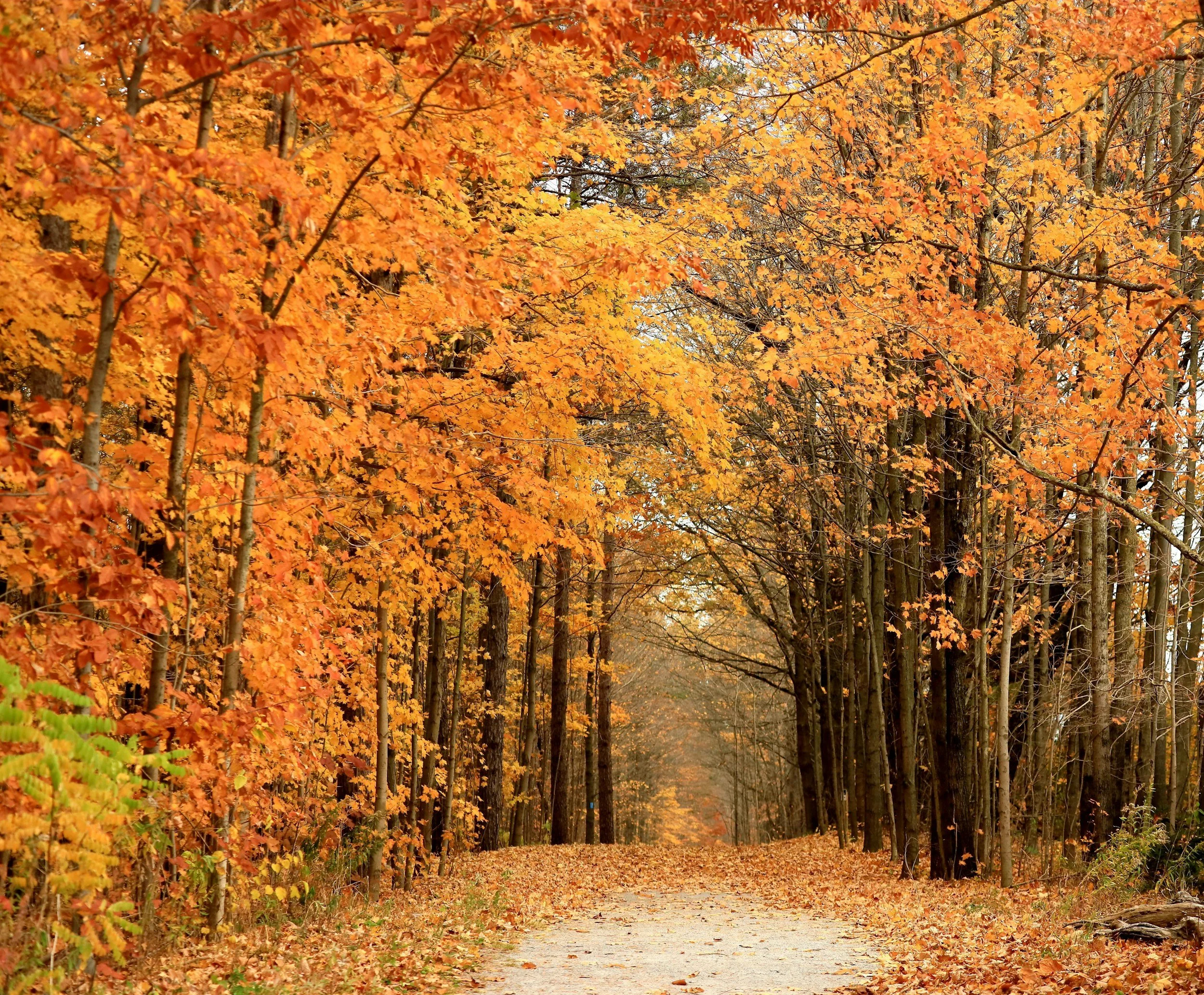 FALL FAMILY HIKE