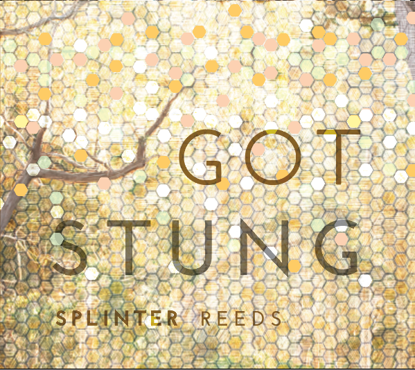 04 Splinter Got Stung Cover Image.png