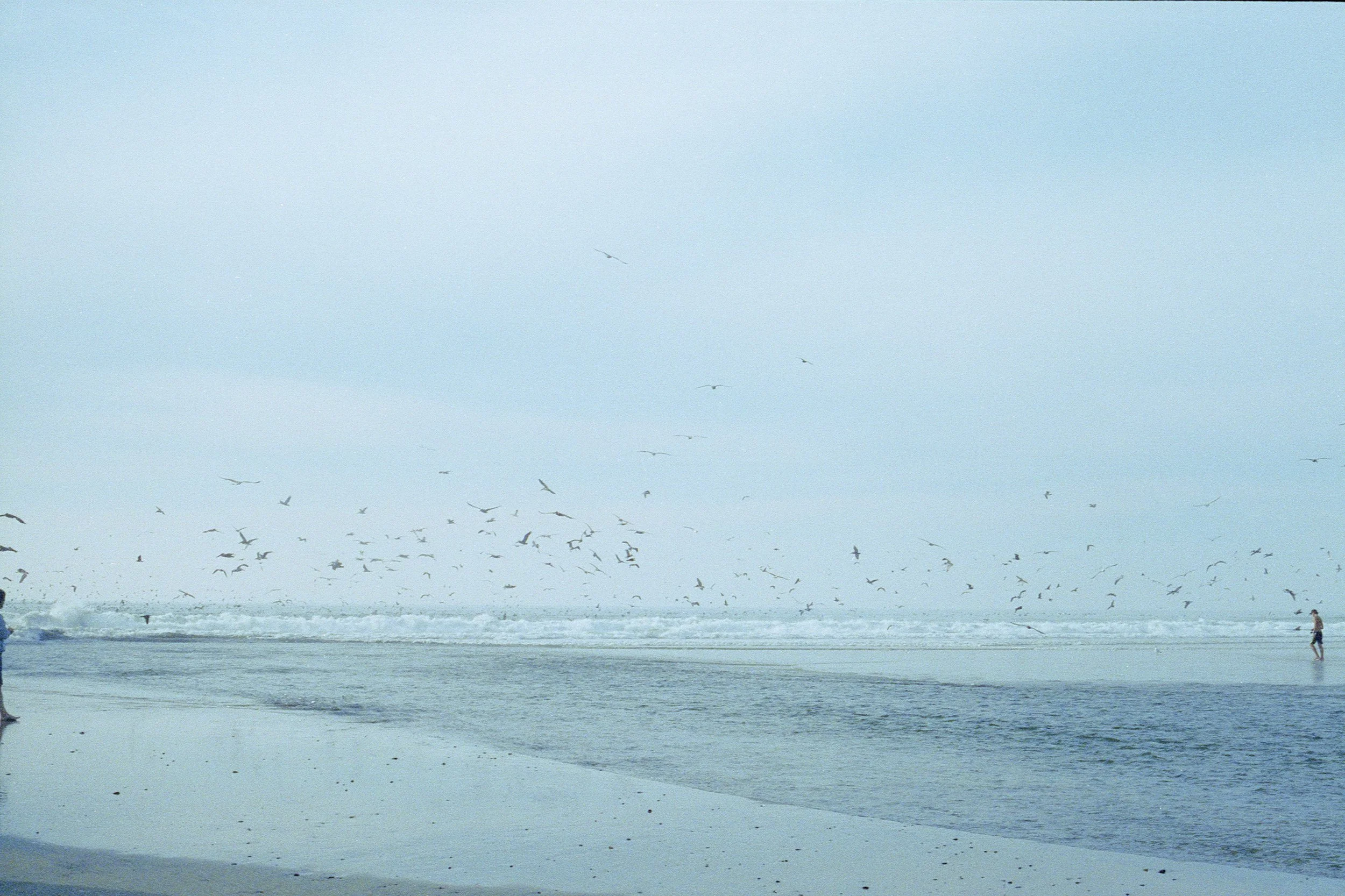 Untitled copy 2.jpg