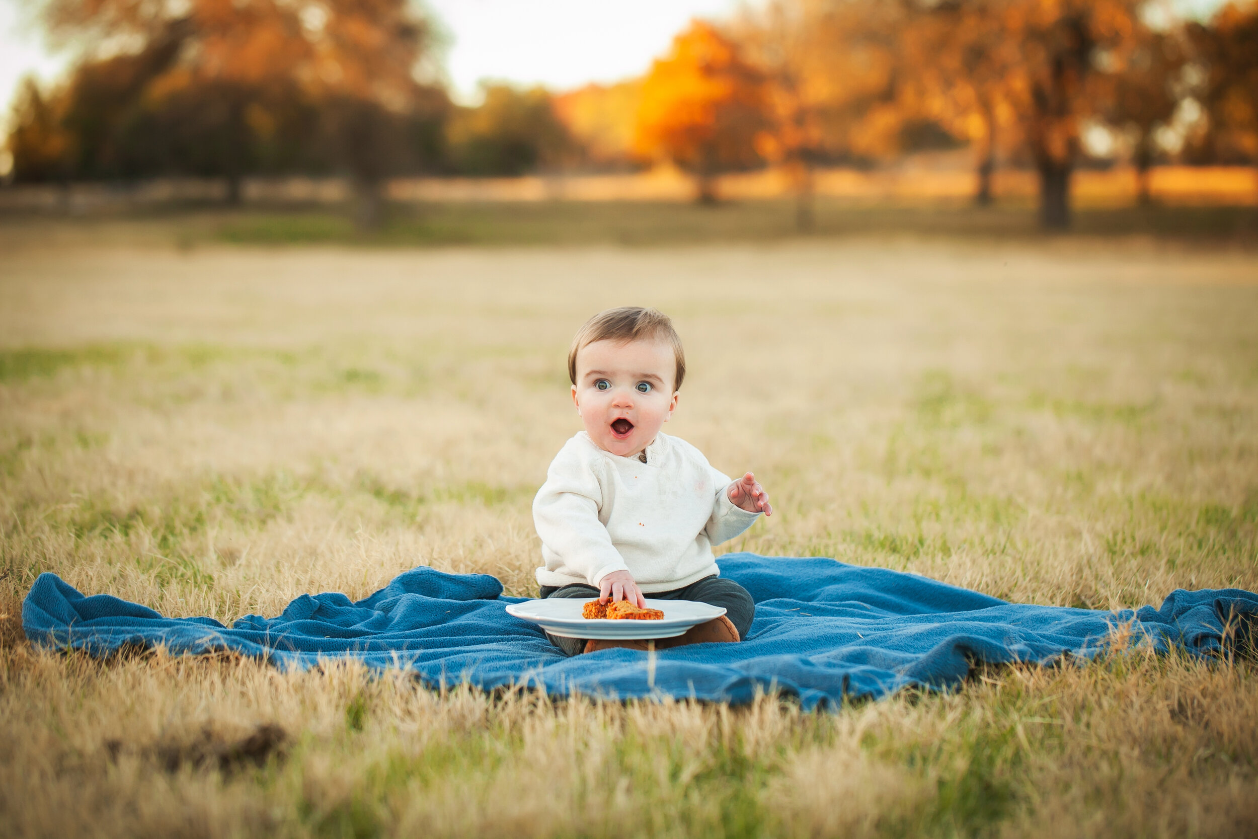 fun-cake-smash-excited-one-year-old-first-birthday-photoshoot-fort-worth-texas-photographer