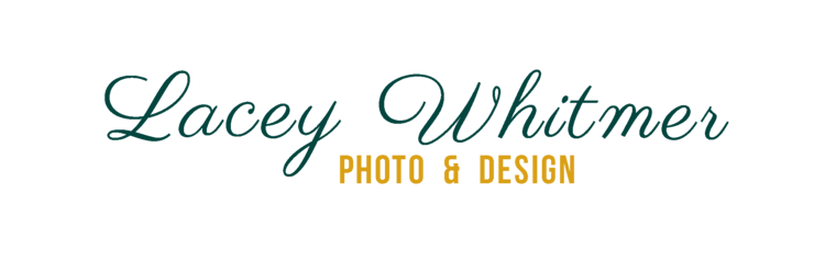 Premier Fort Worth Senior Photographer | Family Photographer | Beauty, Branding & Headshots