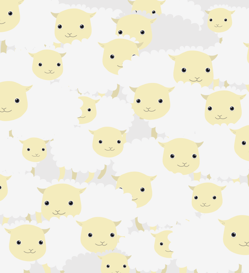 Sheep, sheep, everywhere
