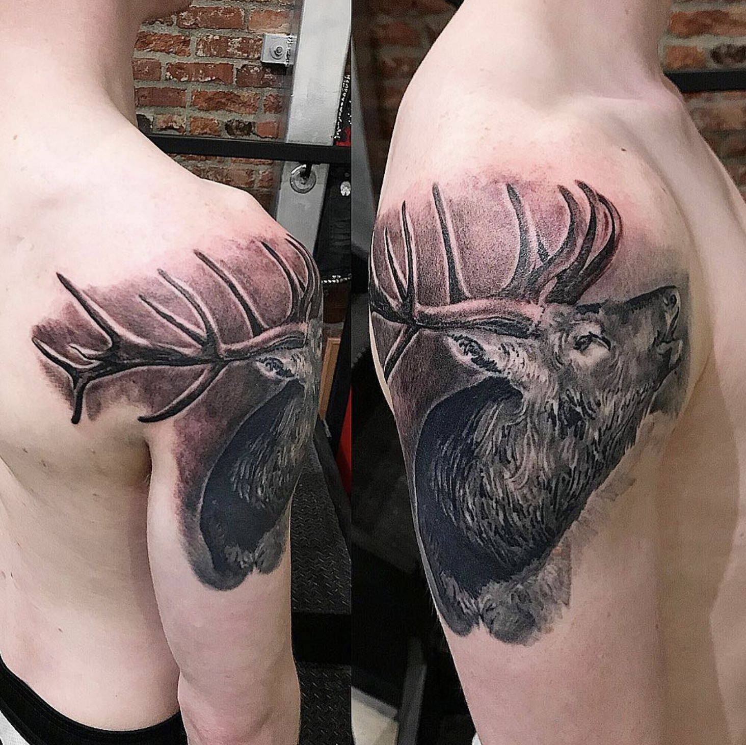 Cory Boersma - The Artful Dodger Tattoo & Comics