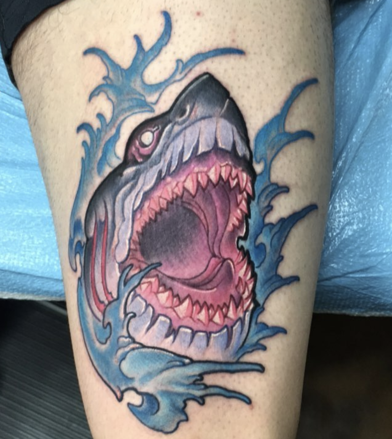 Brandon Bracamonte - Imperious Rex Tattoo