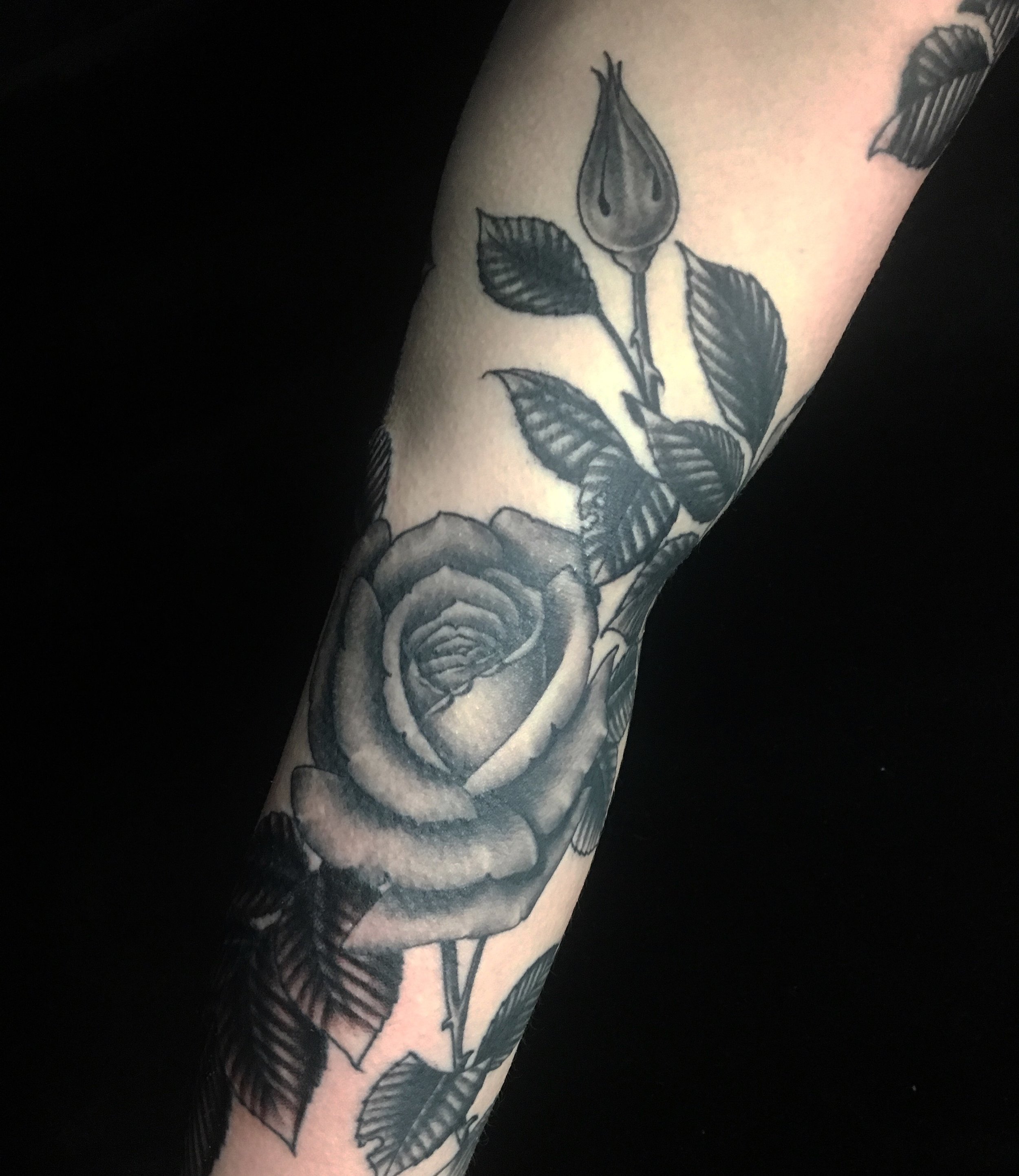 Rob Gribbin - Sailor's Grave Tattoo