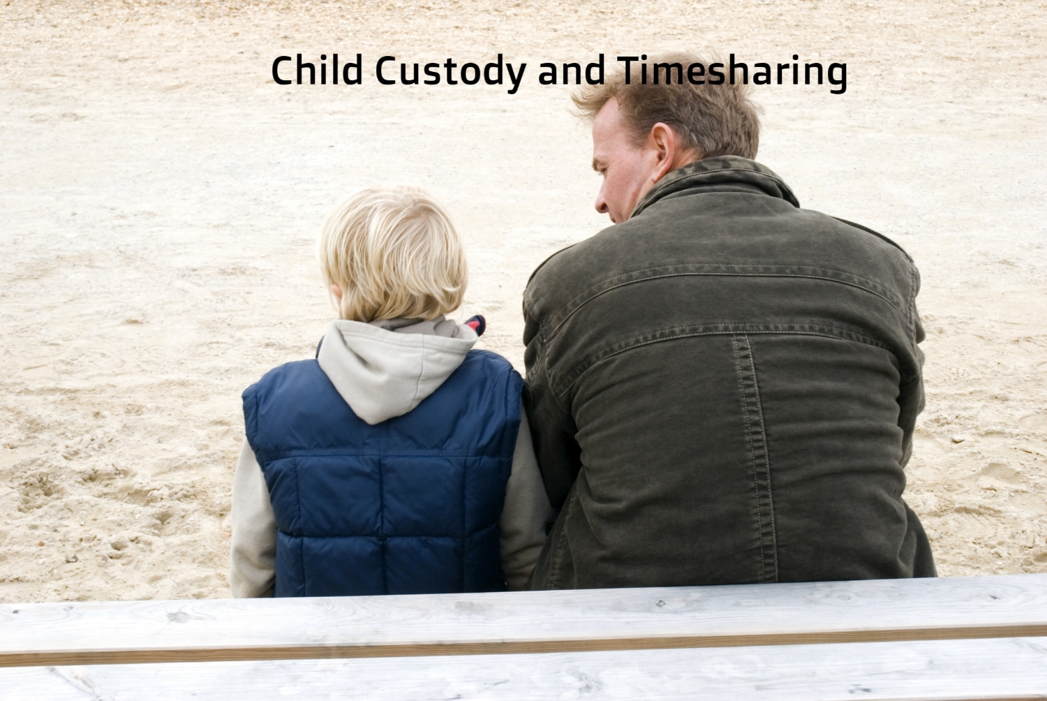 Copy of Child Custody and Timesharing