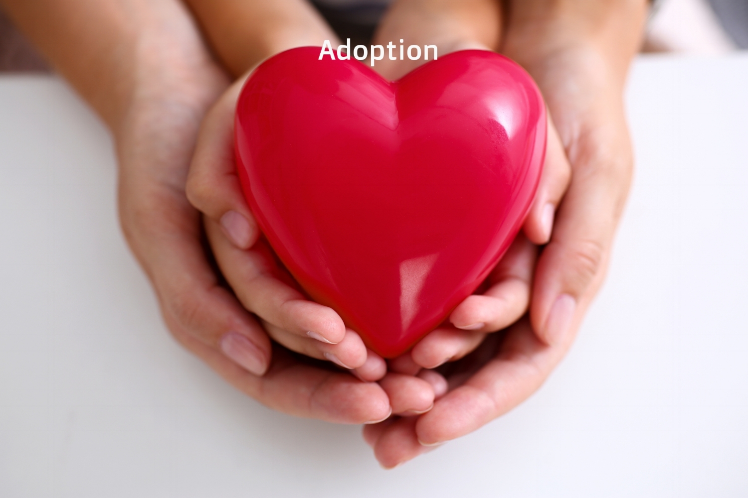 Copy of Adoption