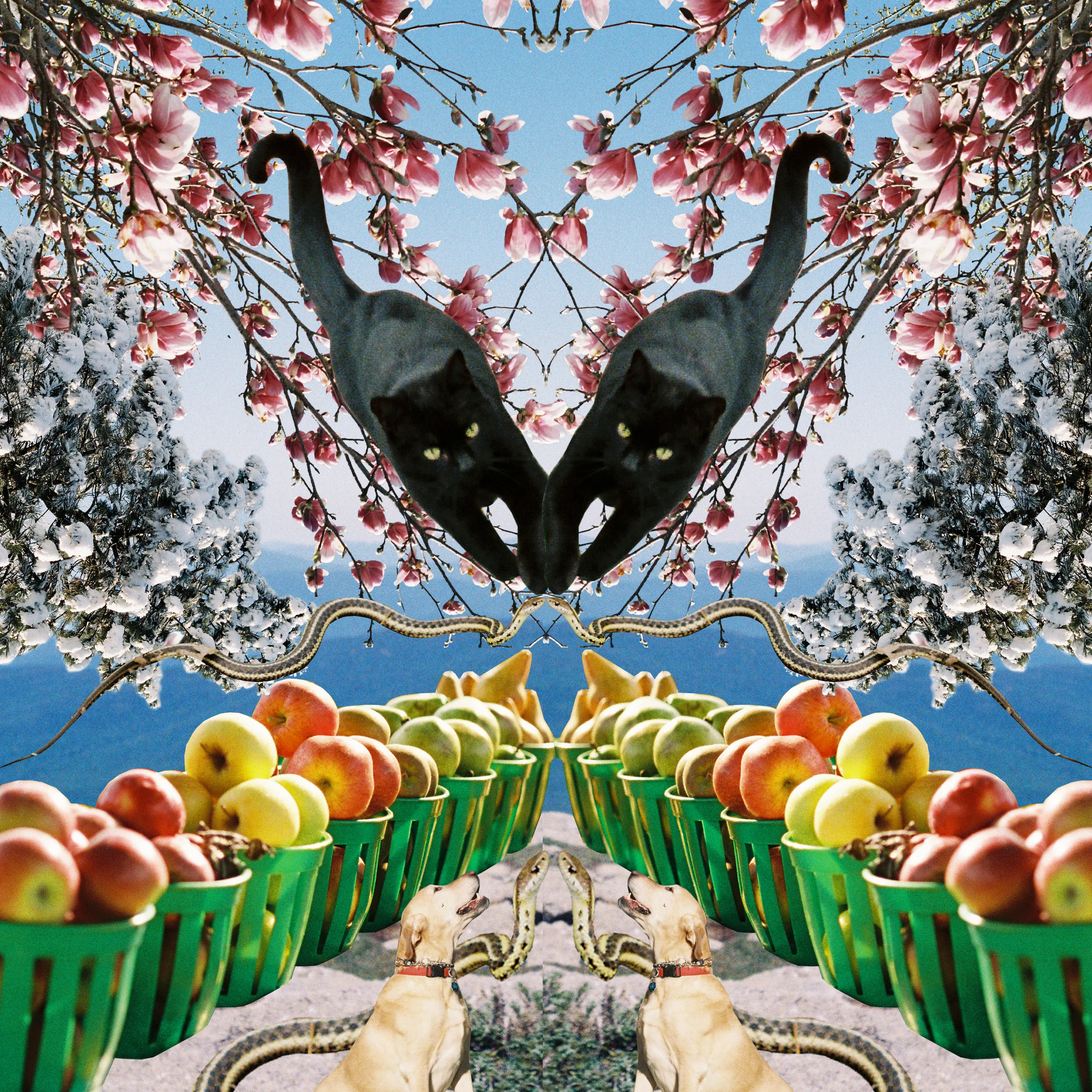 earth day.jpg
