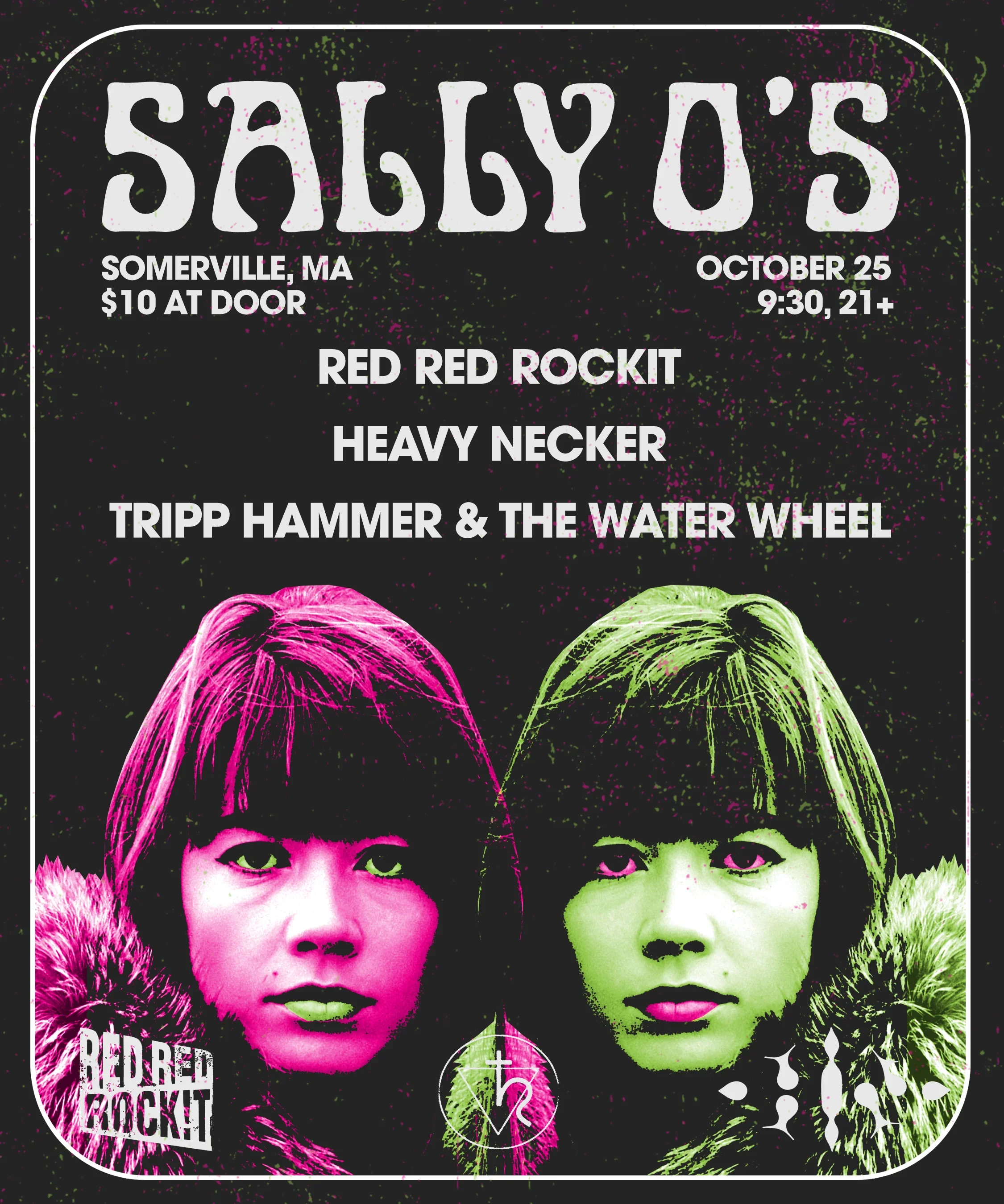 sallyos.webp