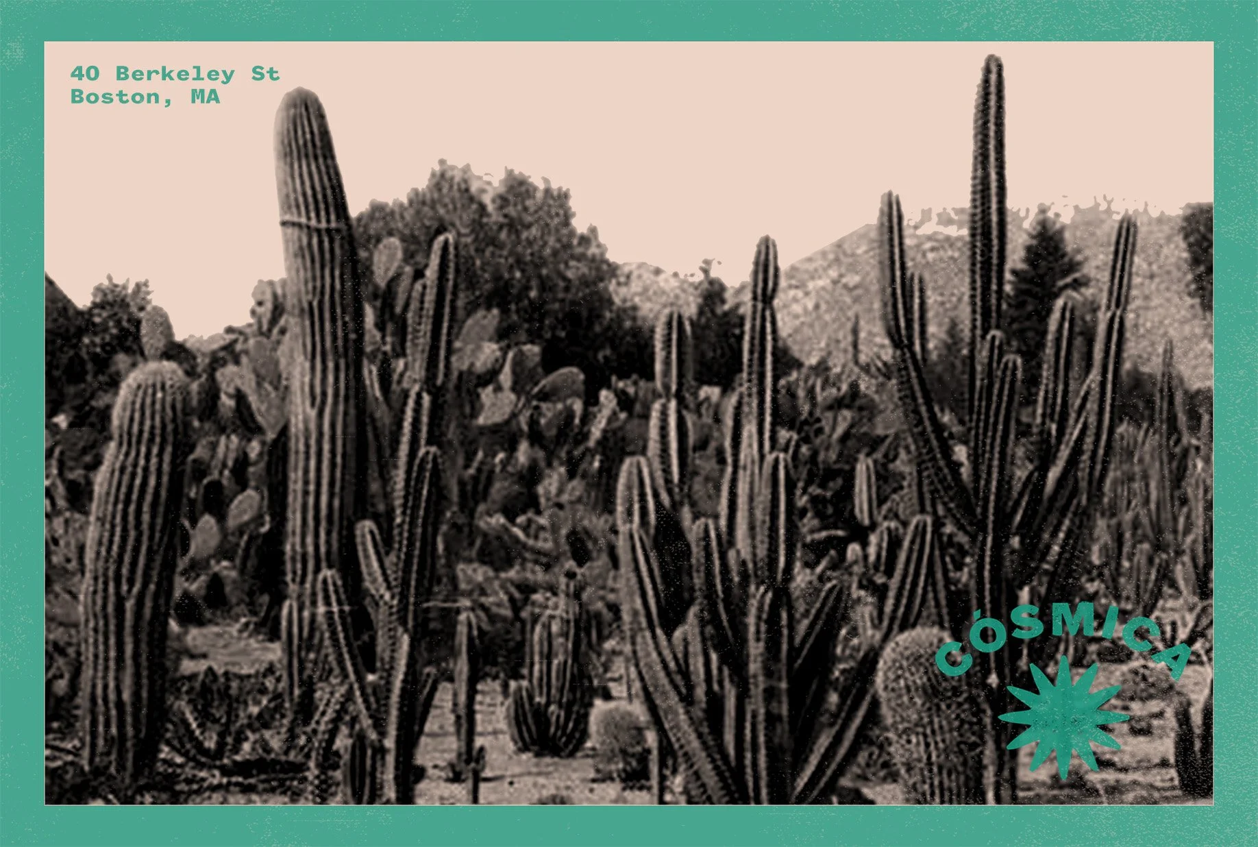 cosmica postcard front.jpg