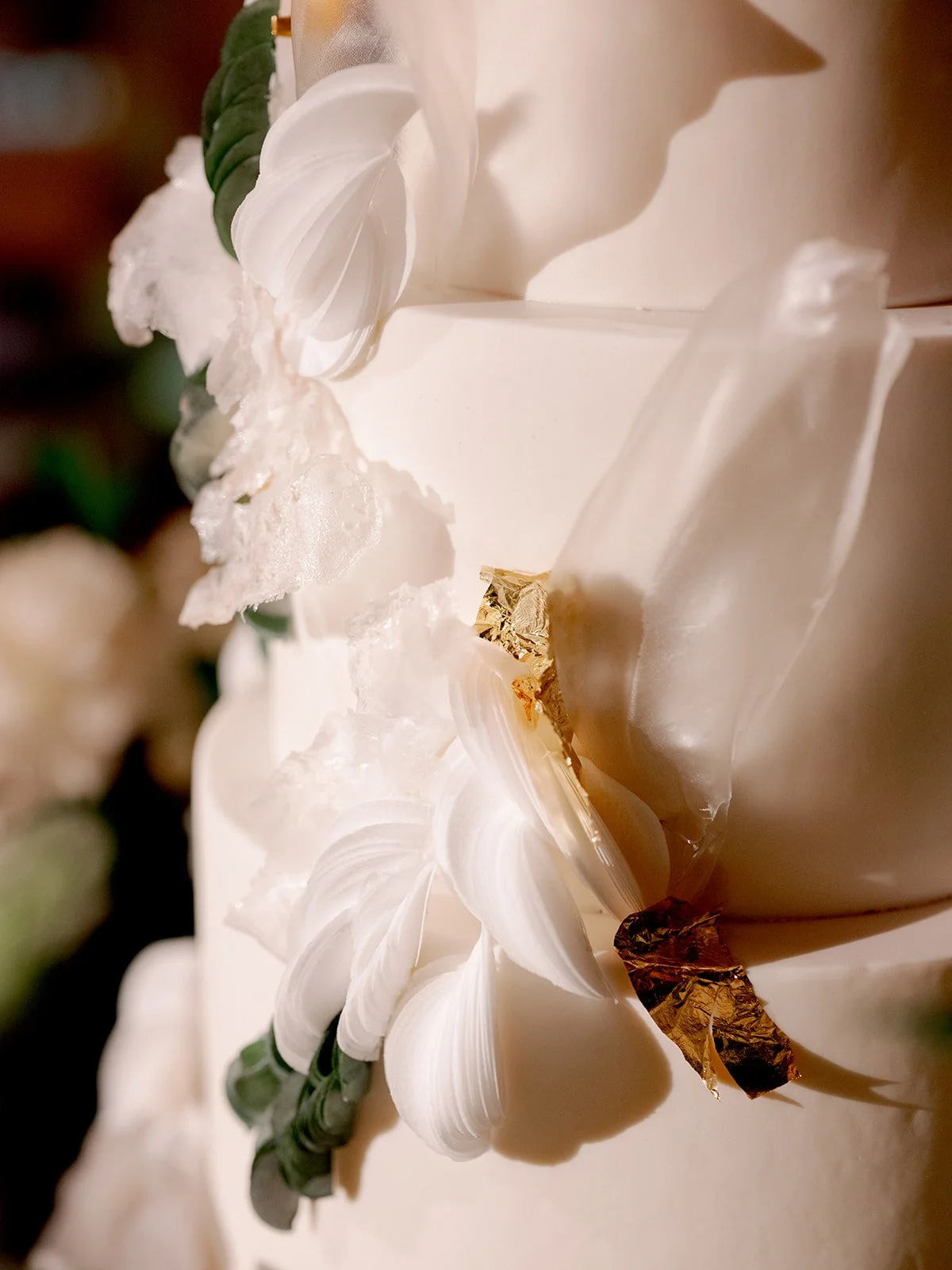 0083 MICHAEL and ANNA COSTA PHOTOGRAPHY_websize.jpg