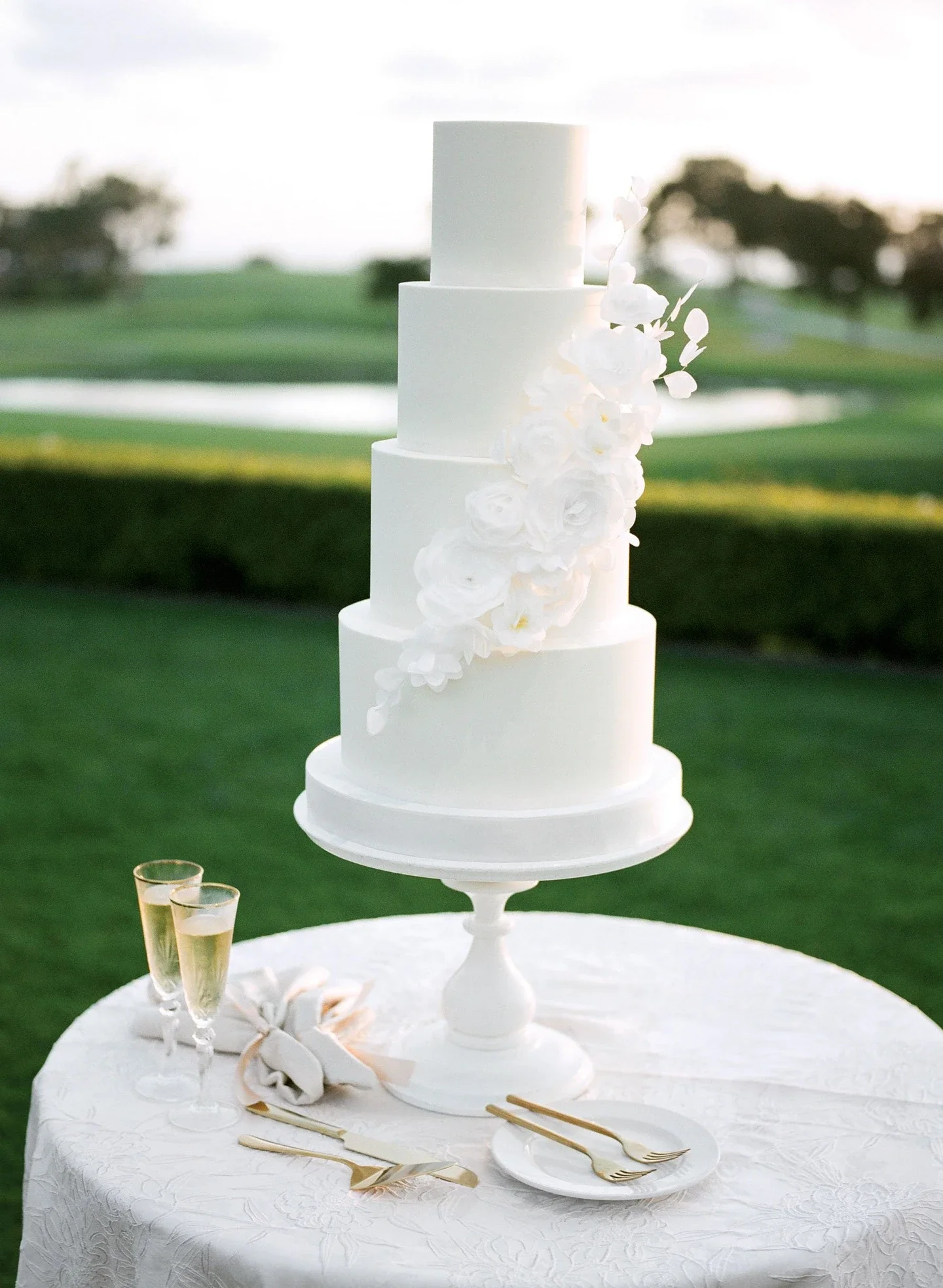 Cydney Lodge cake .webp