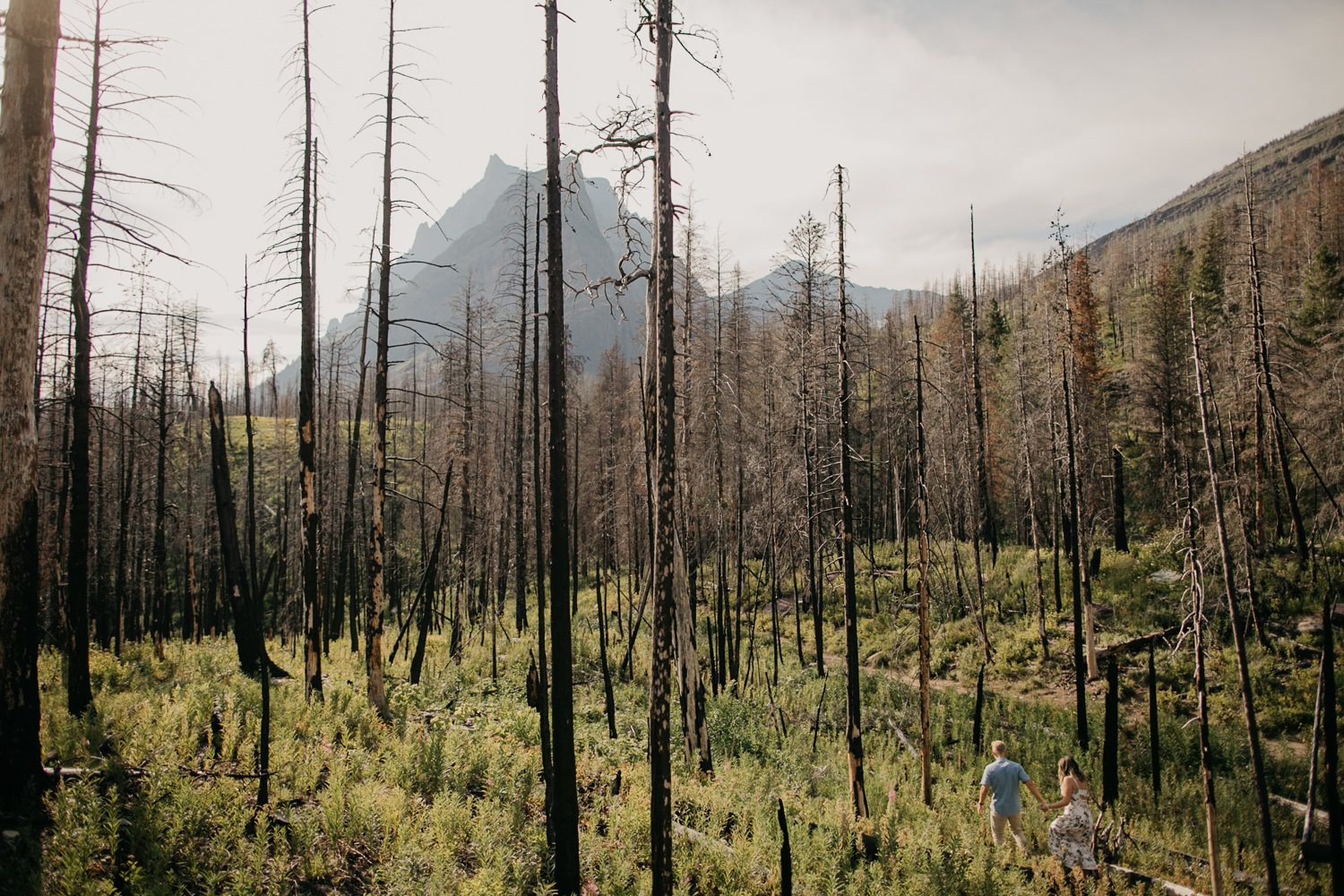 glacier-national-park-engagement-photographer-14.jpg