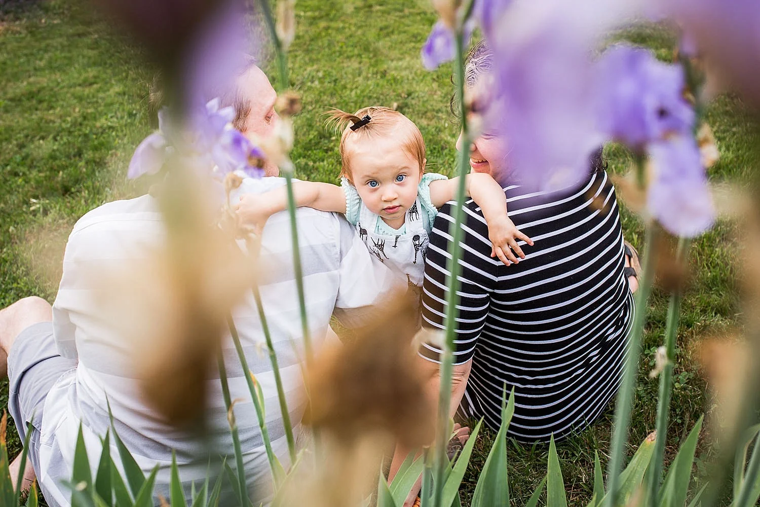 Photo of a little girl peeking through some purple iris flowers.