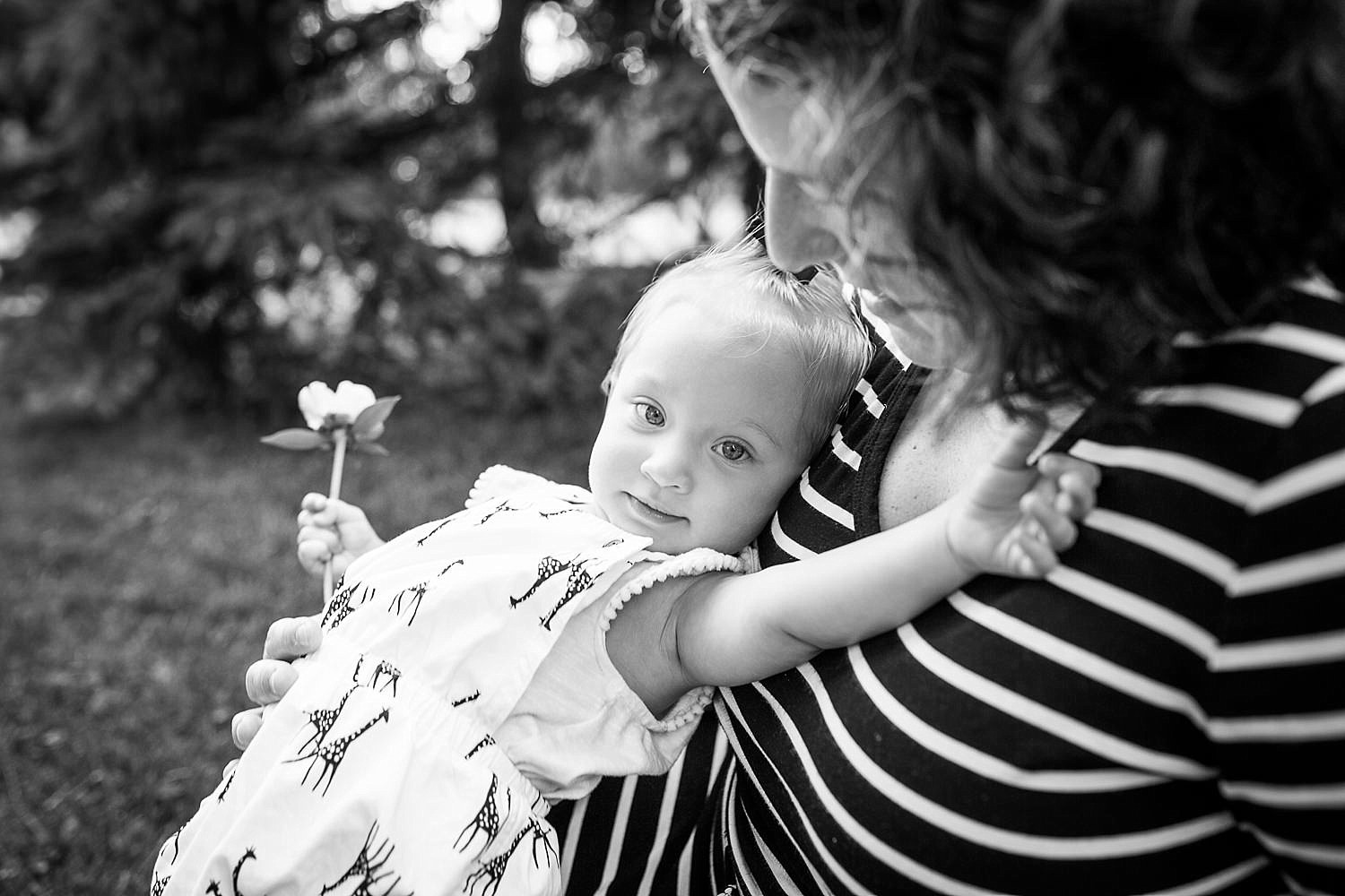  Photo of a little girl leaning against her mother holding a flower. 