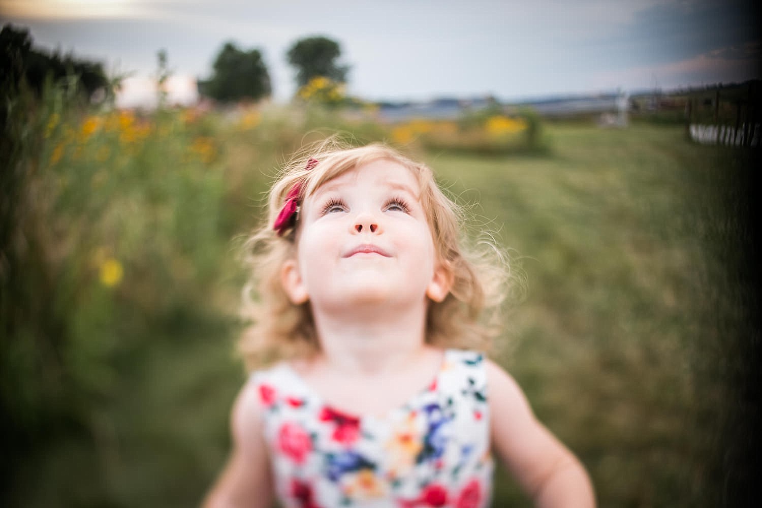 Lititz_family_photographer_wildflower_field-18.jpg