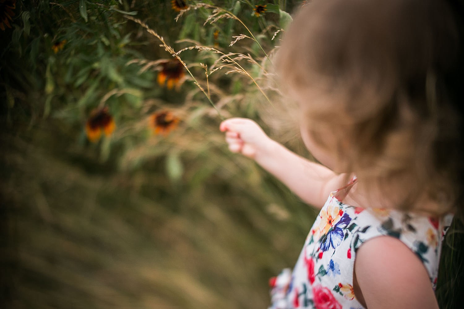 Lititz_family_photographer_wildflower_field-20.jpg